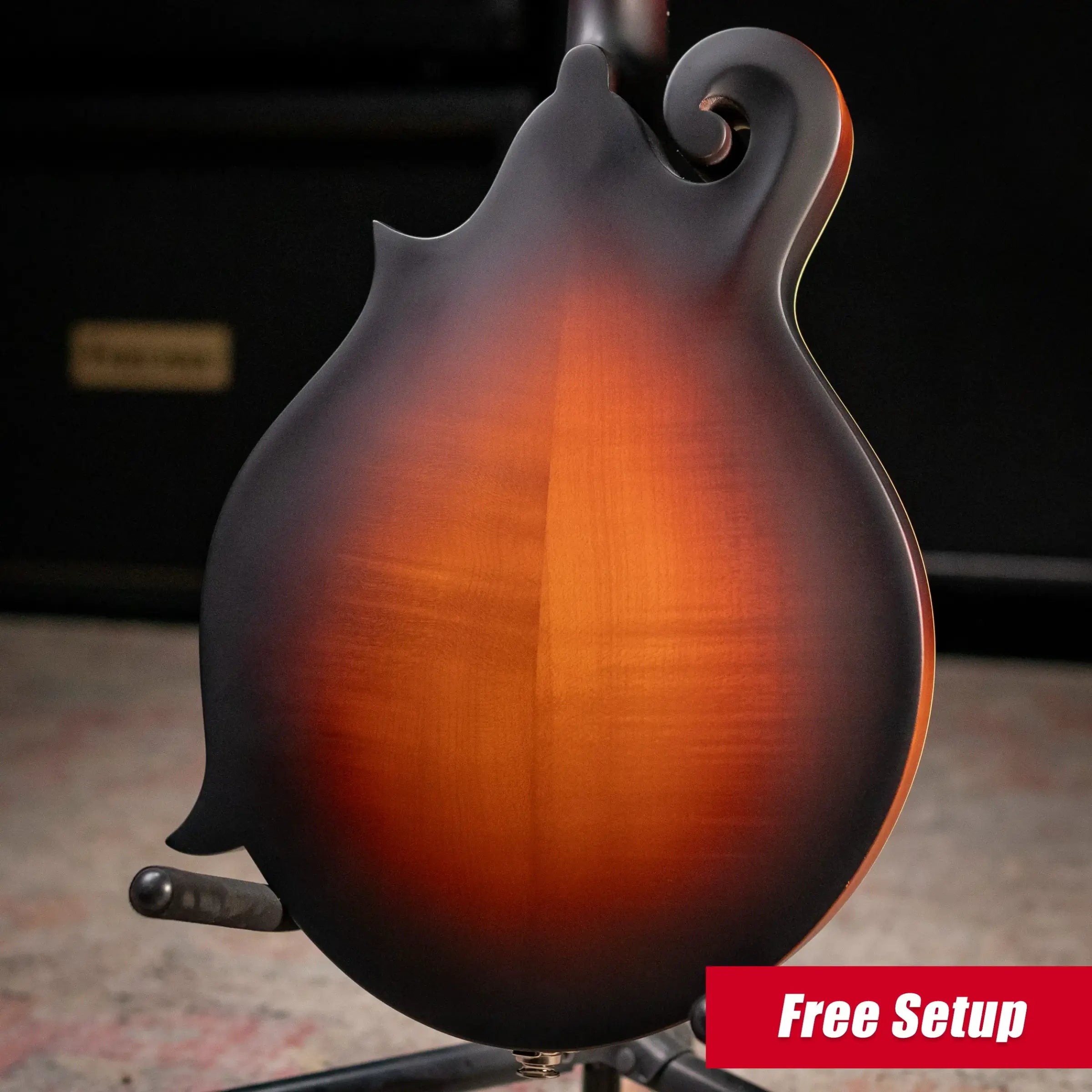 Eastman MD315E-SB F Style Acoustic/Electric Mandolin - Sunburst with Gig Bag