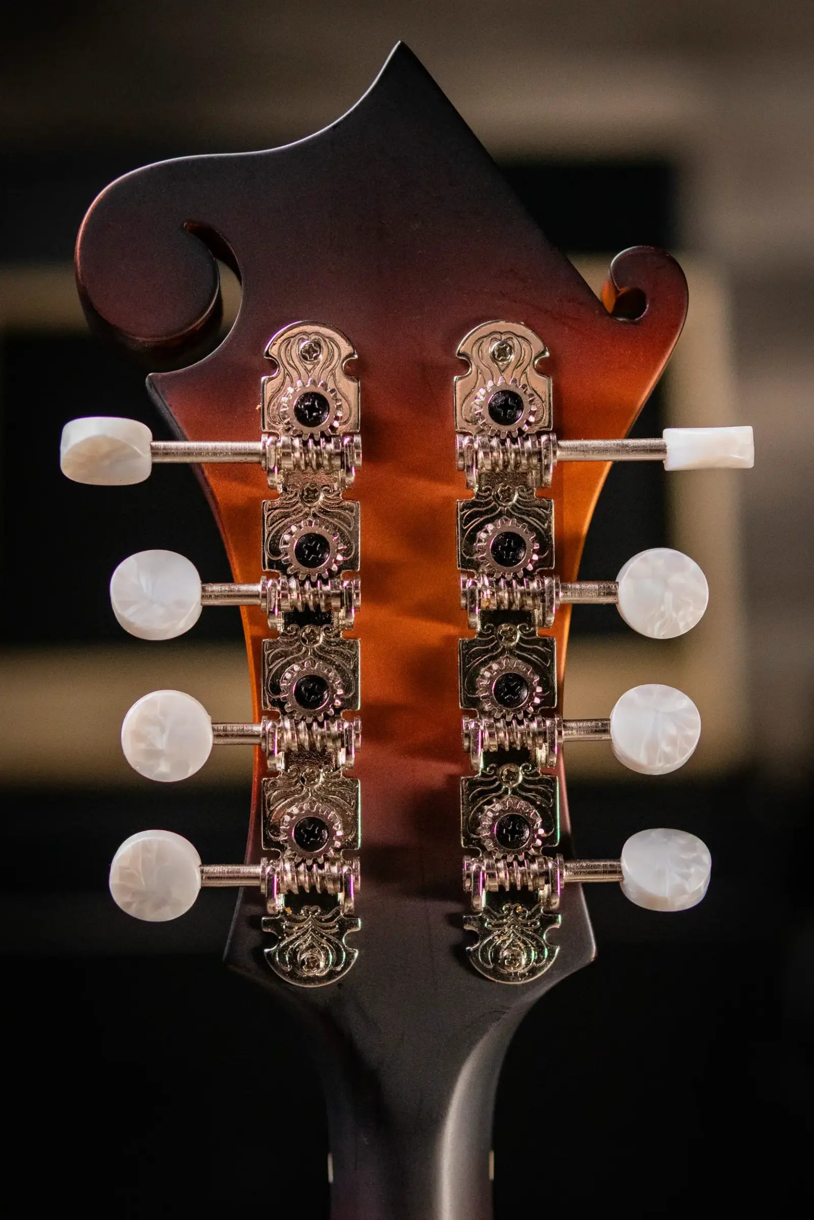 Eastman MD315E-SB F Style Acoustic/Electric Mandolin - Sunburst with Gig Bag