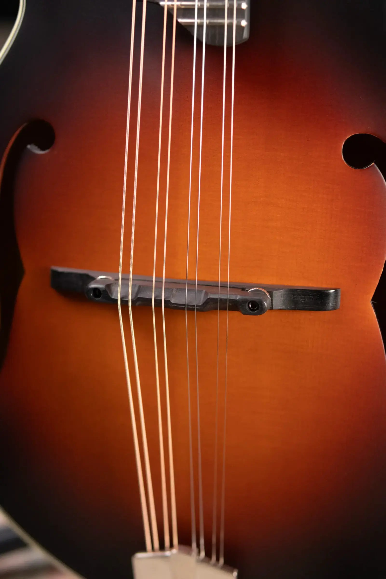 Eastman MD315E-SB F Style Acoustic/Electric Mandolin - Sunburst with Gig Bag