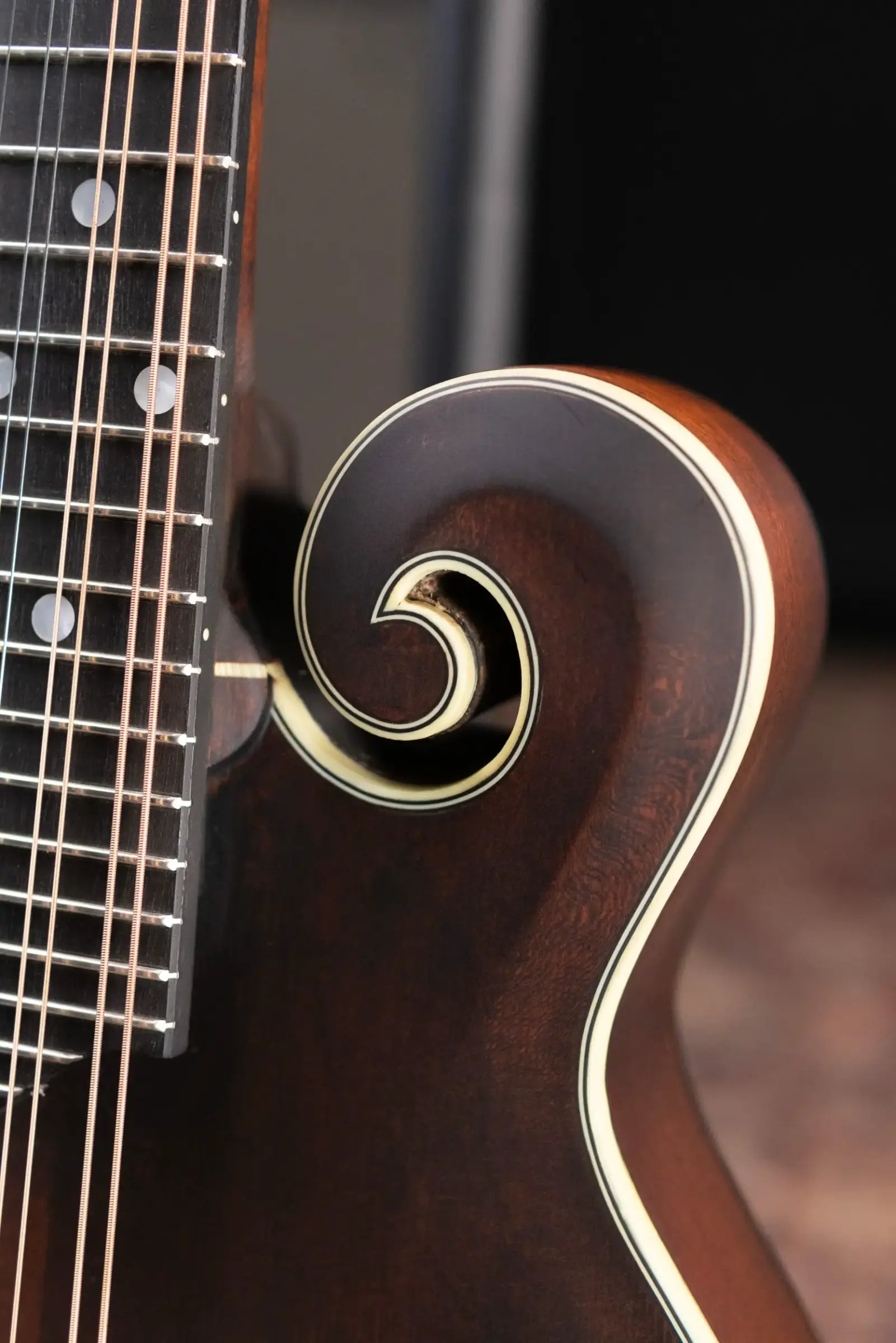 Eastman MD315L Left-Handed F-Style Acoustic Mandolin with Gig Bag