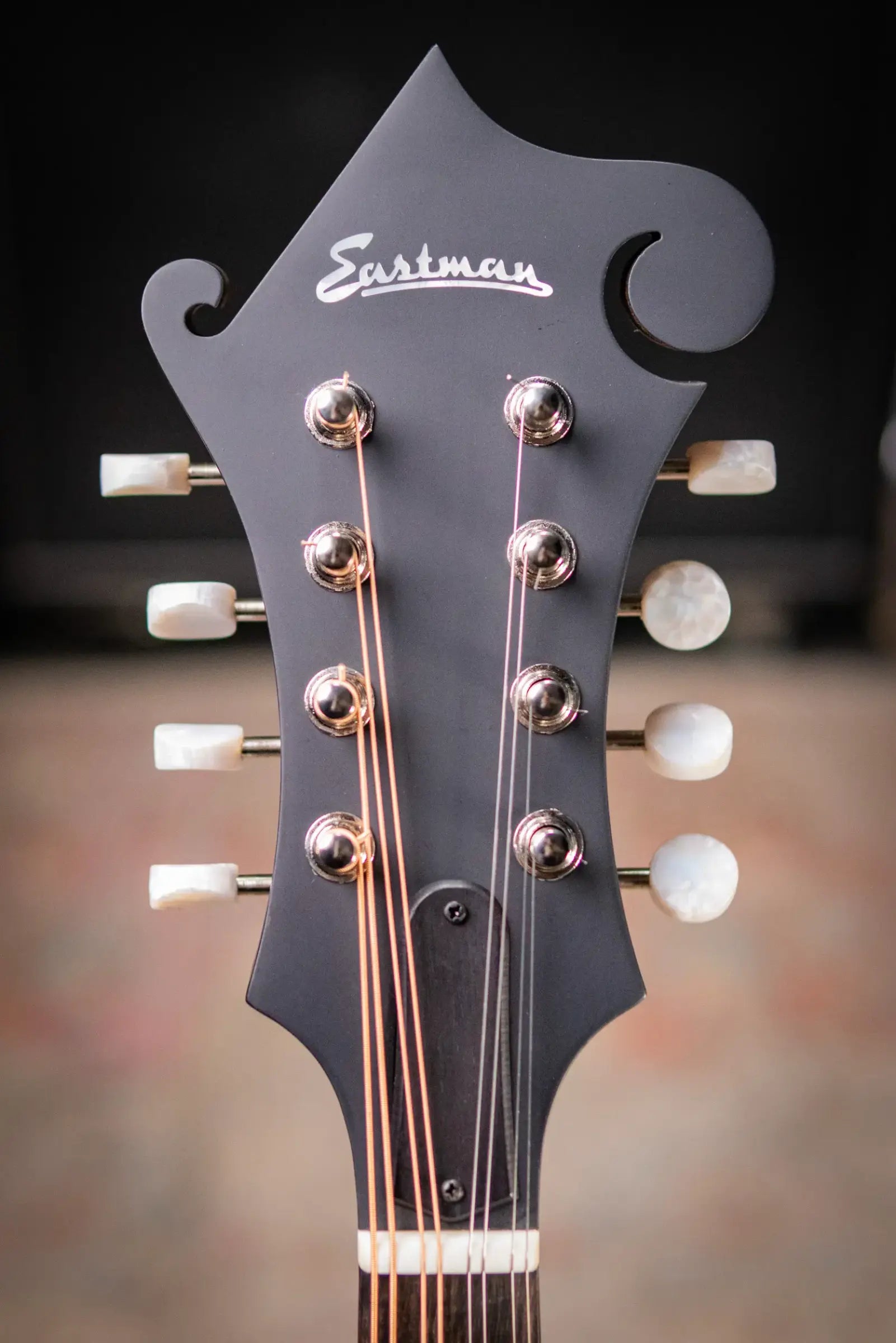 Eastman MD315 F-Style Mandolin - Classic with Gig Bag