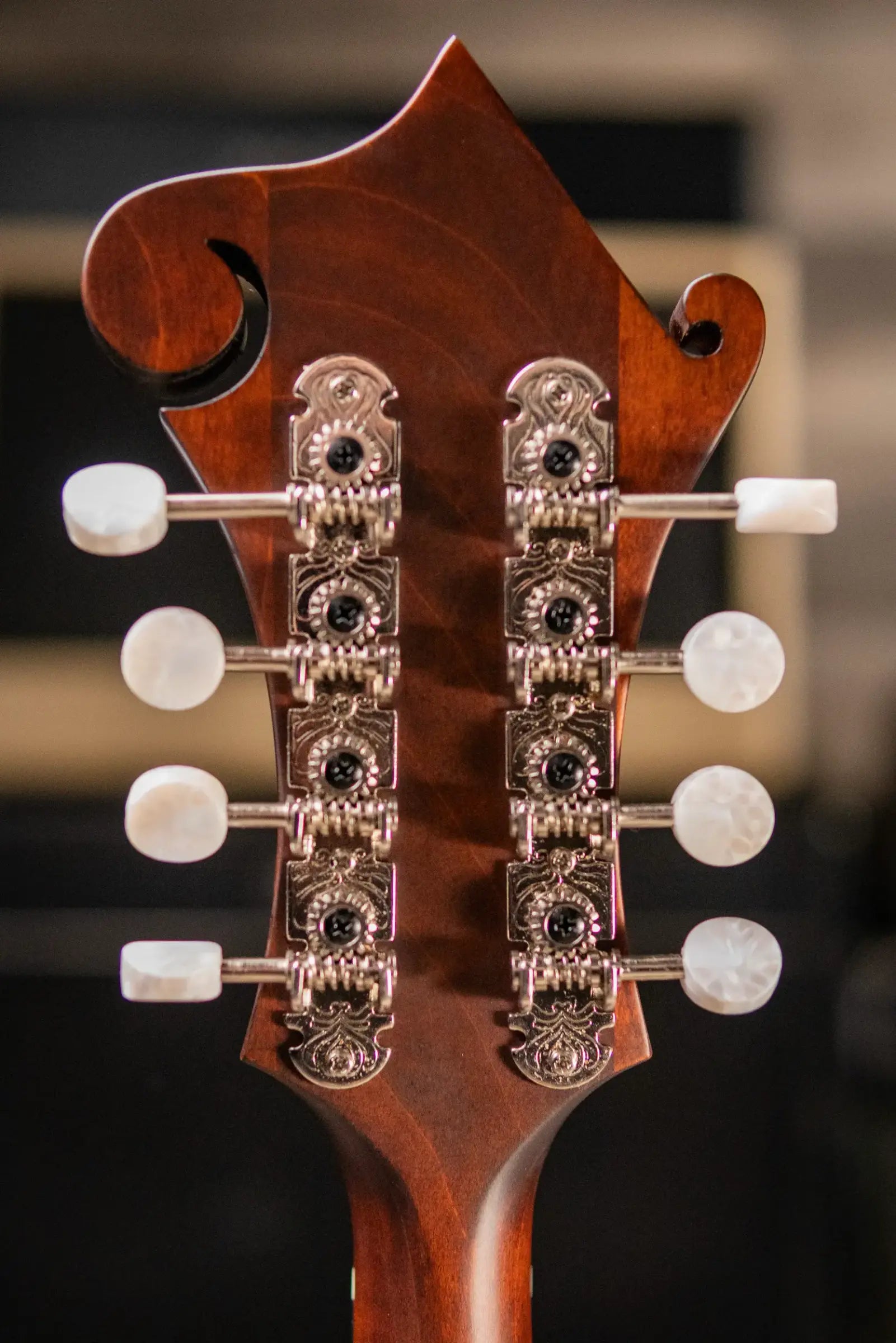 Eastman MD315 F-Style Mandolin - Classic with Gig Bag