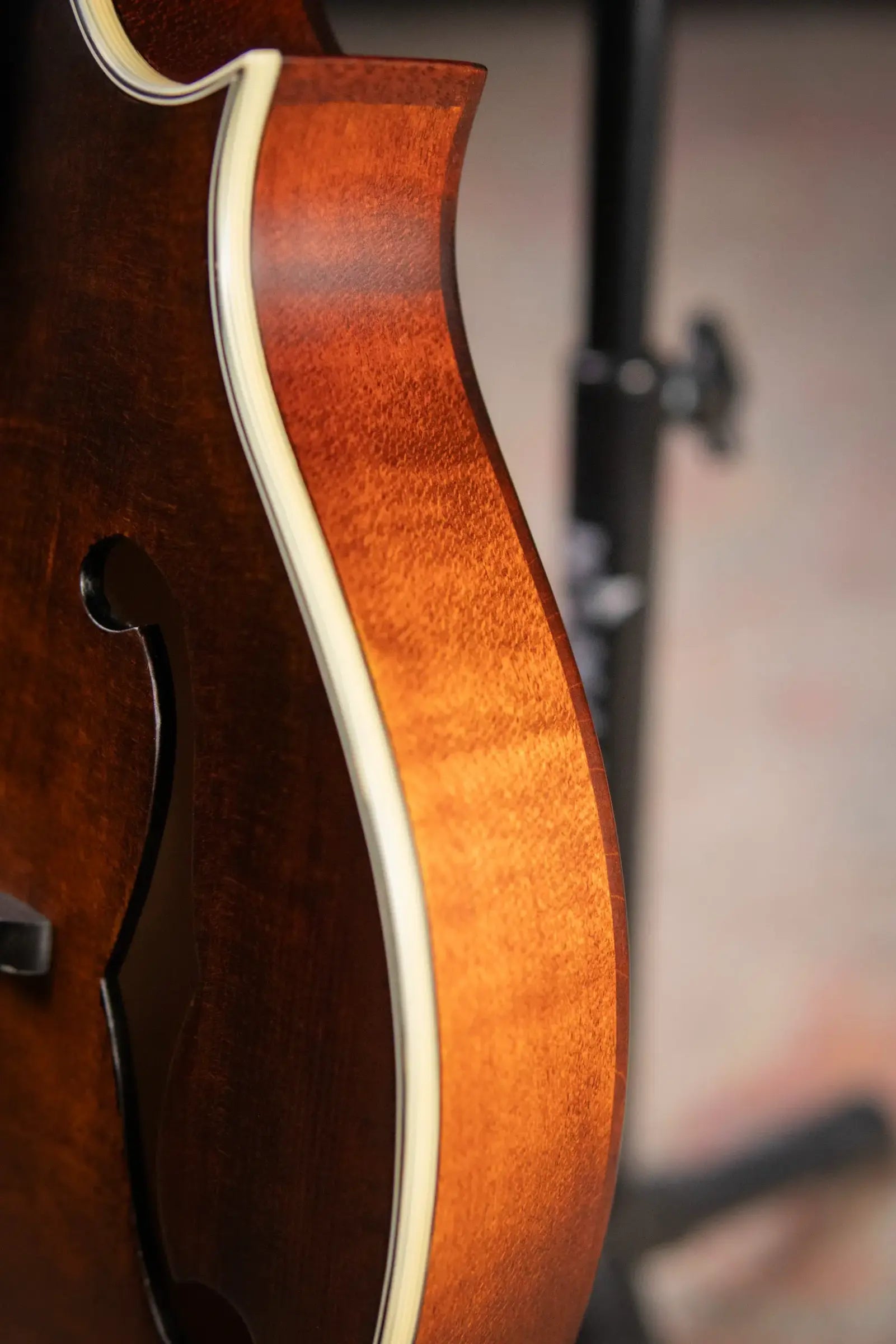 Eastman MD315 F-Style Mandolin - Classic with Gig Bag