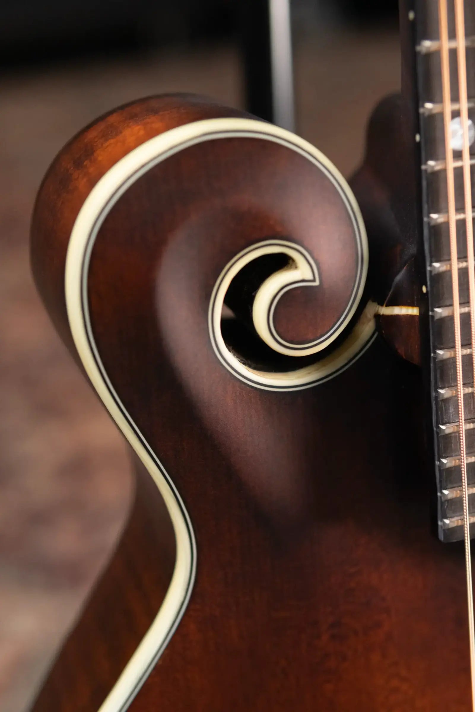 Eastman MD315 F-Style Mandolin with Gig Bag