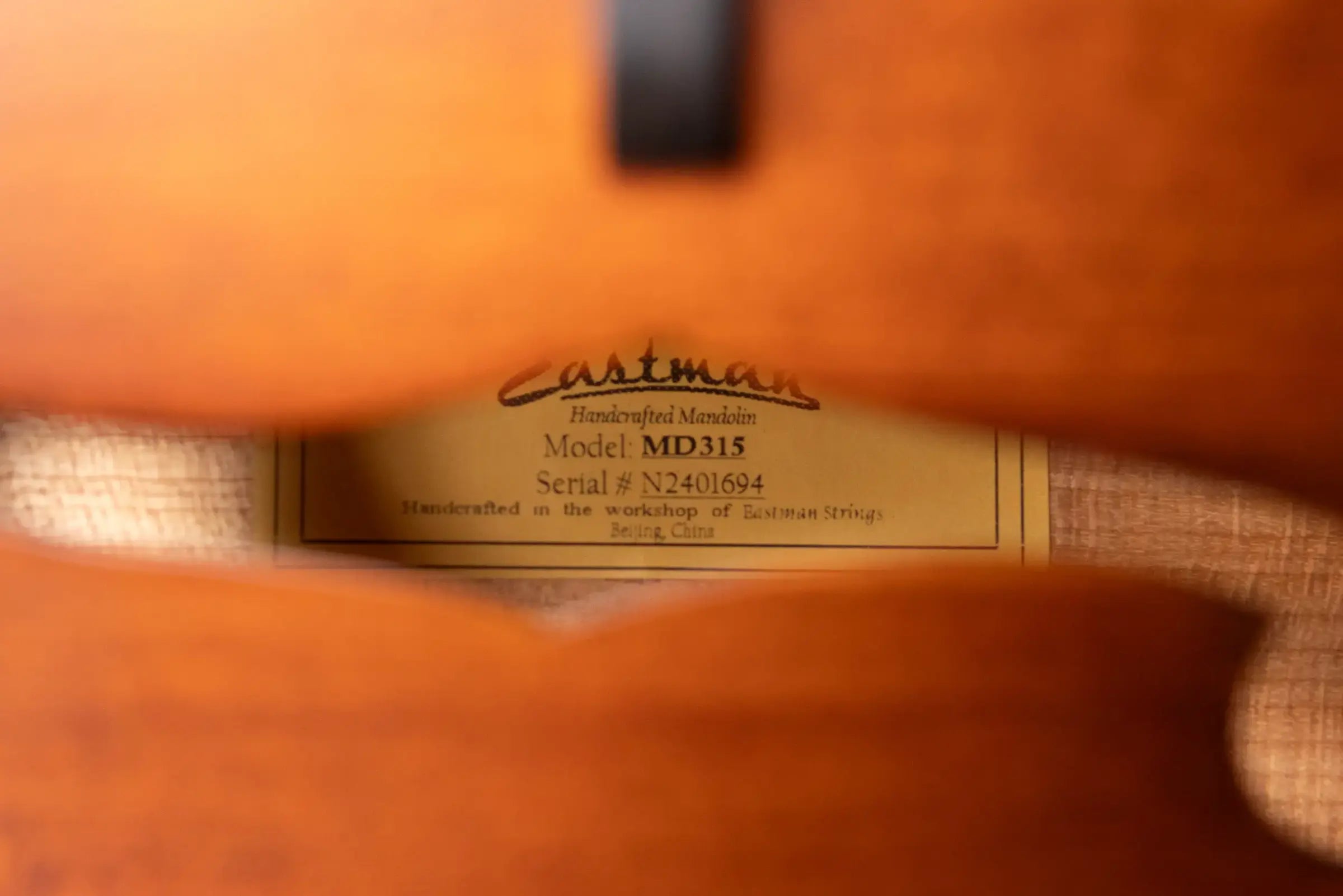 Eastman MD315 F-Style Mandolin with Gig Bag