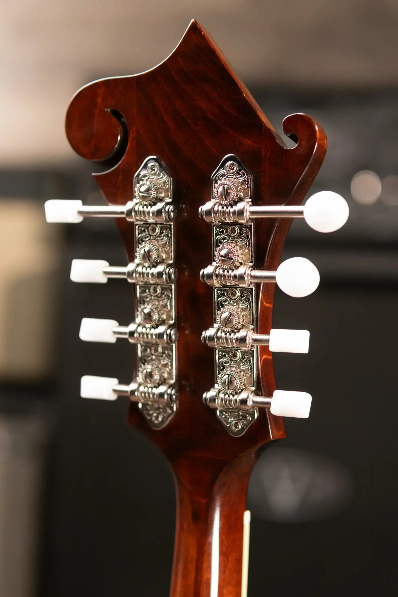 Eastman MD515 Mandolin F-Style with Hardshell Case