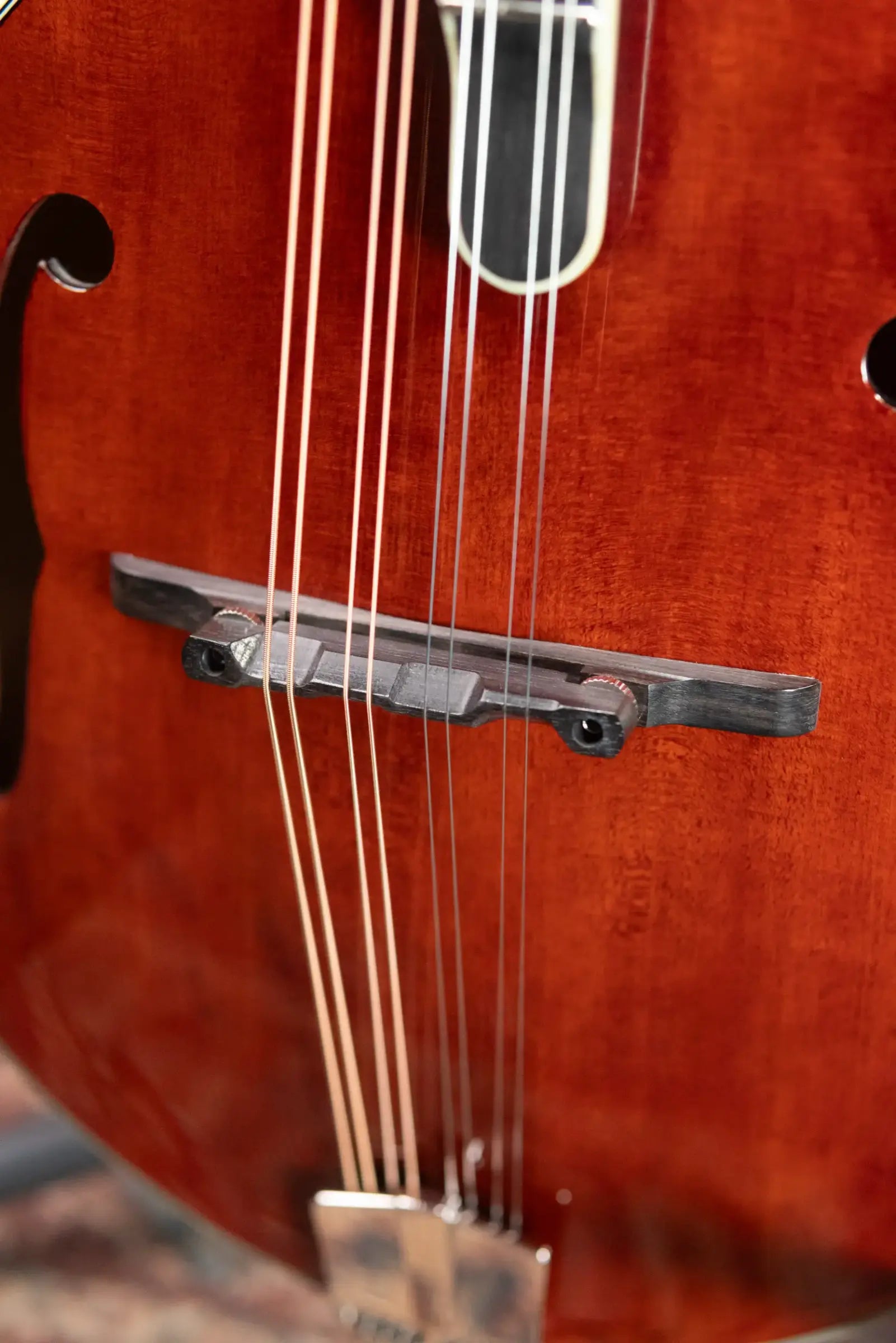 Eastman MD805 A-Style Mandolin with Softshell Case