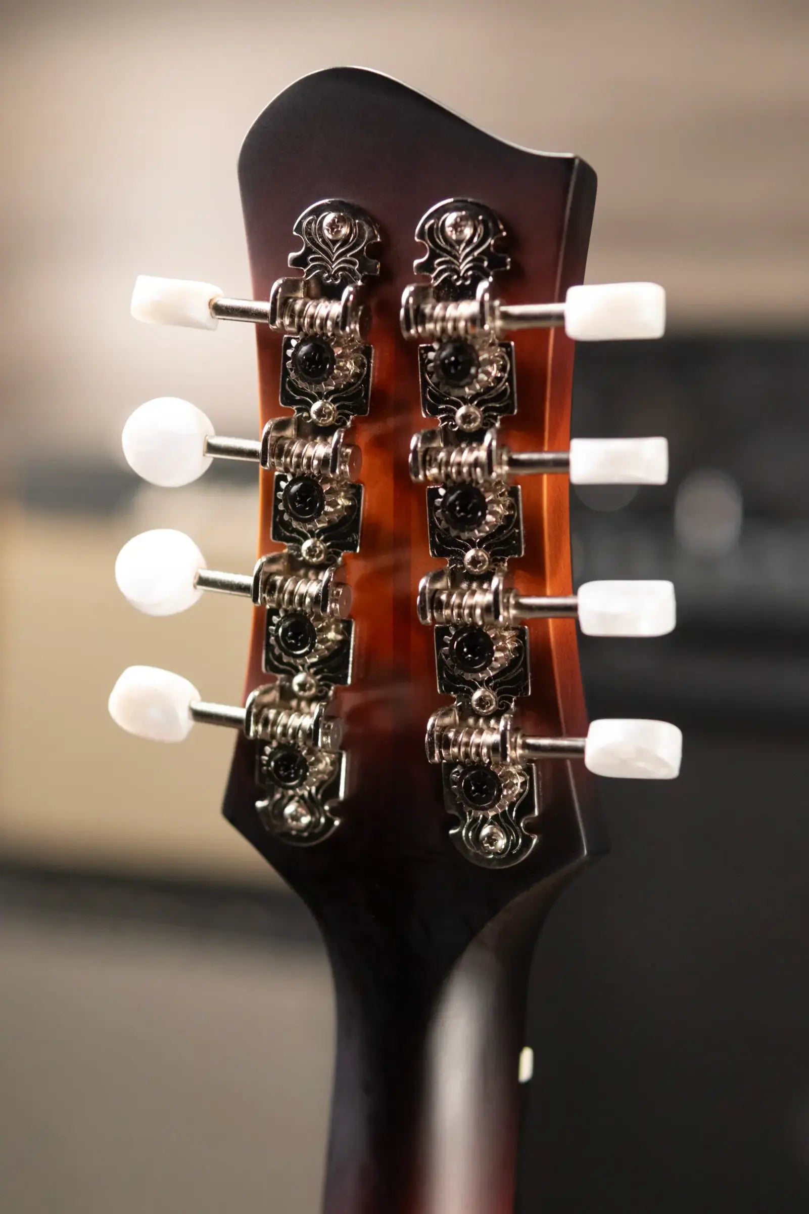 Eastman MDO305E-SB Octave Mandolin A-Style with K&K Pickup and Gig Bag