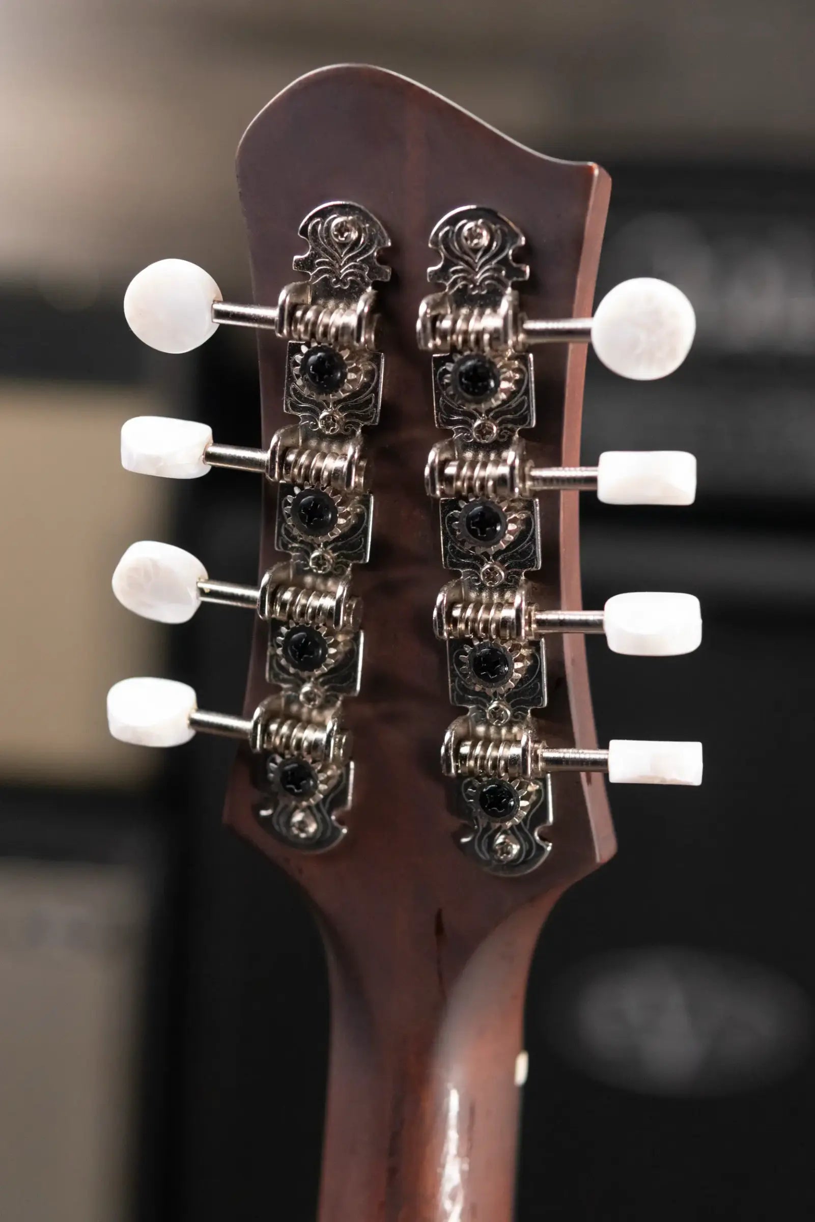 Eastman MDO305 Octave Mandolin A-Style with Soft Case