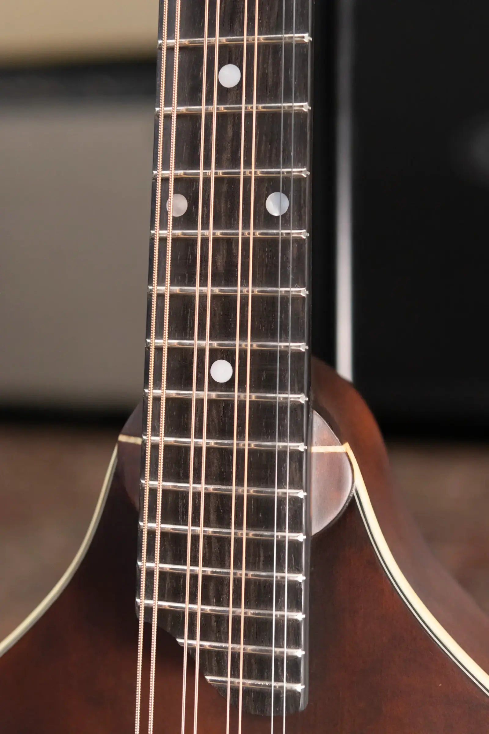 Eastman MDO305 Octave Mandolin A-Style with Soft Case