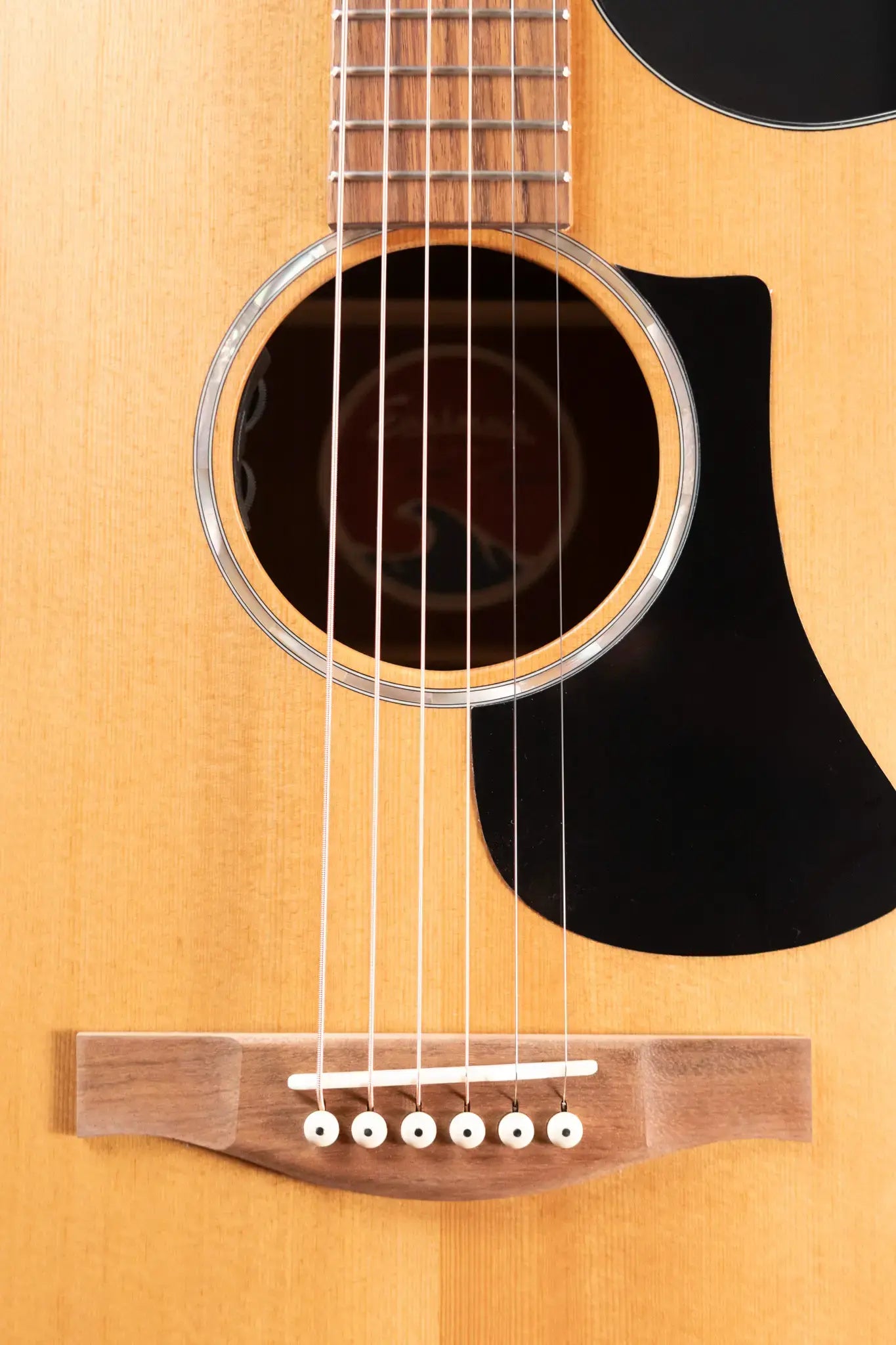 Eastman PCH1-GACE Grand Auditorium Acoustic/Electric Guitar with Gig Bag