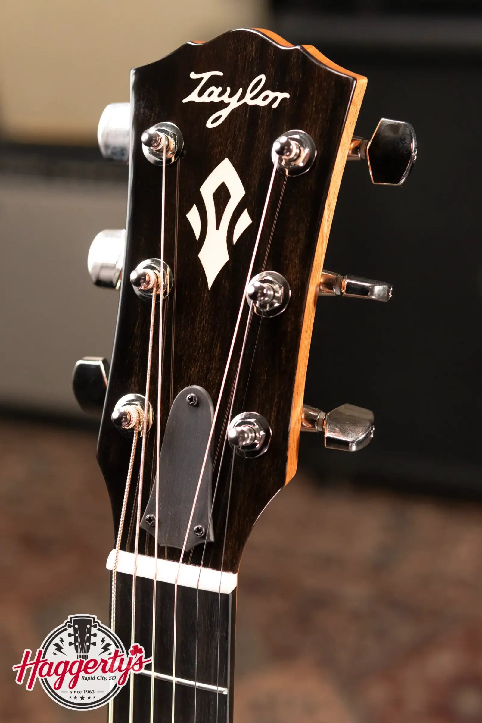 Taylor Gold Label 717e SB Grand Pacific Acoustic/Electric Guitar with Hardshell Case