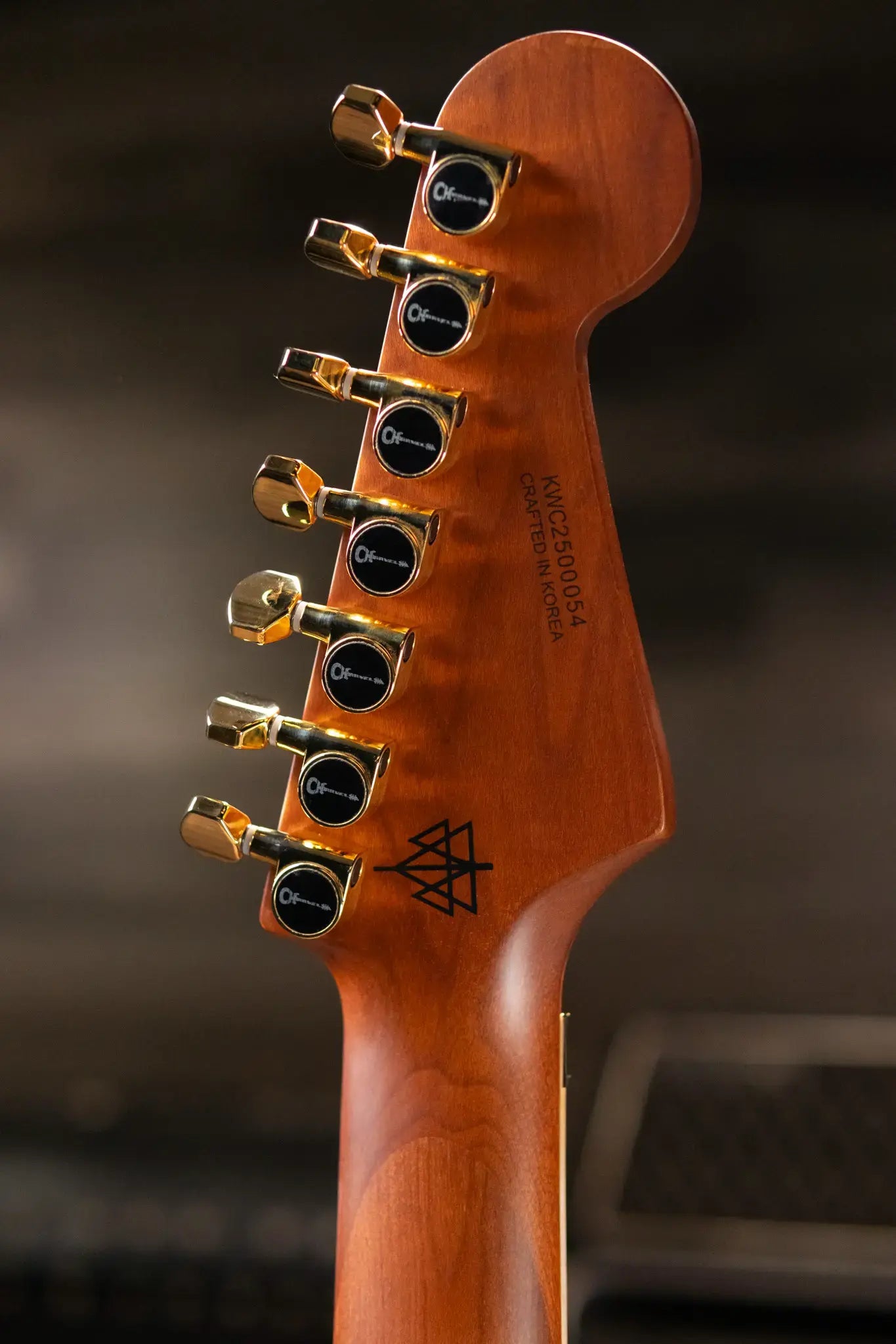 Charvel Angel Vivaldi "Betty" DK24-7 - Natural Flame Maple Top with Gig Bag