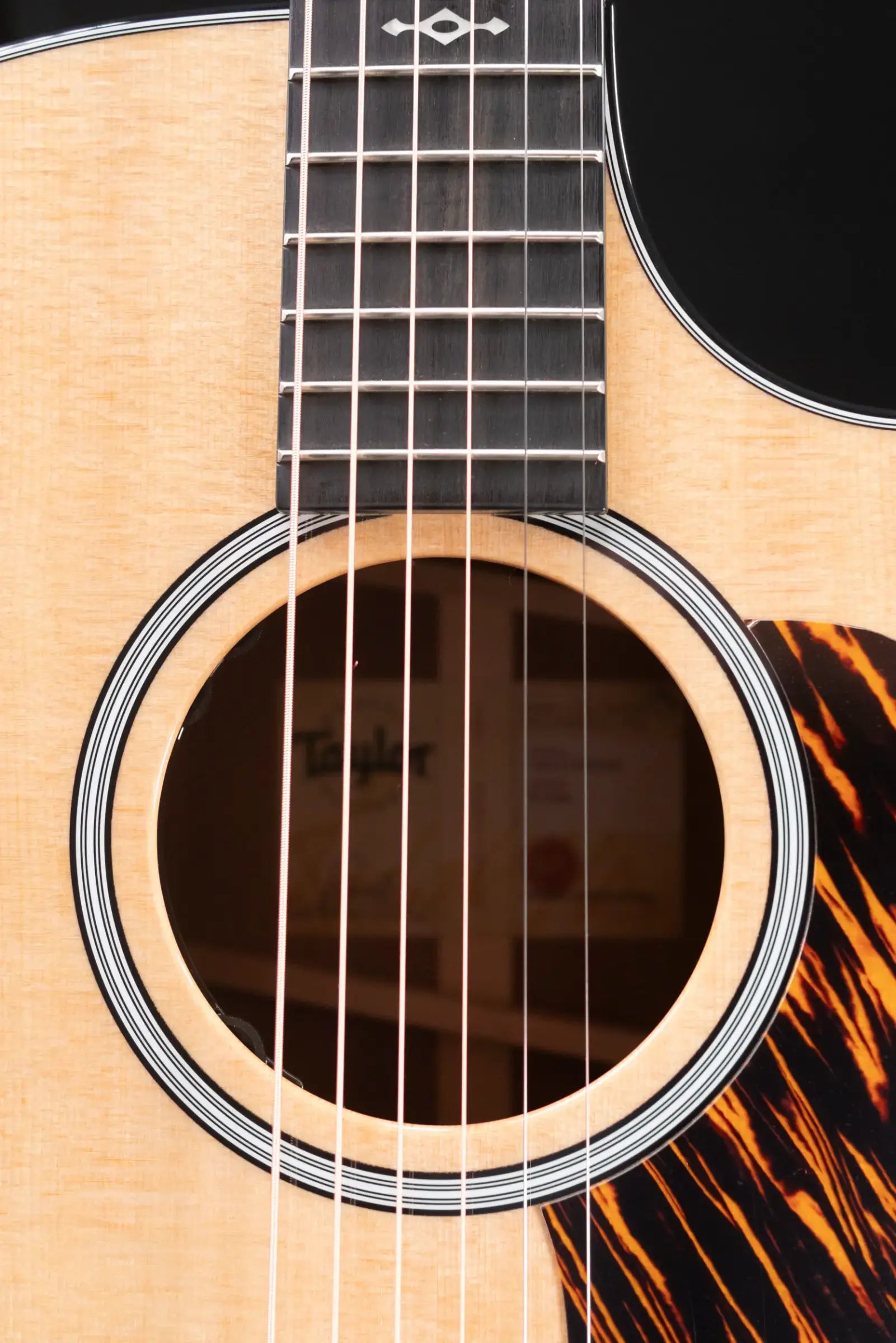 Taylor Next Generation 314ce Grand Auditorium Acoustic/Electric Guitar with Hardshell Case