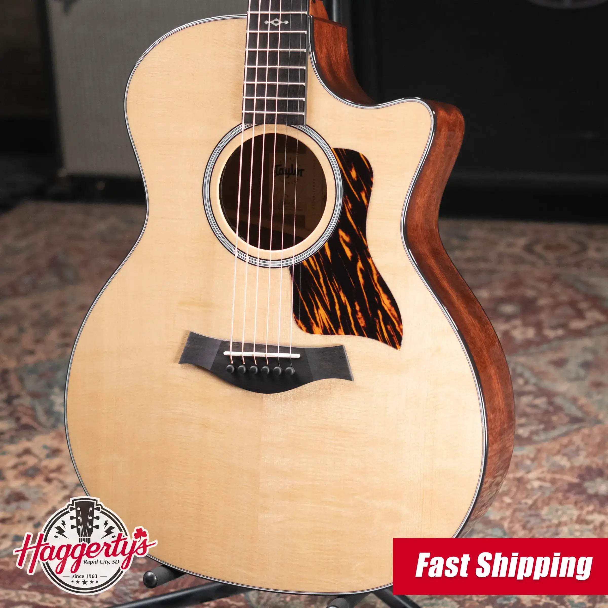 Taylor Next Generation 314ce Grand Auditorium Acoustic/Electric Guitar with Hardshell Case