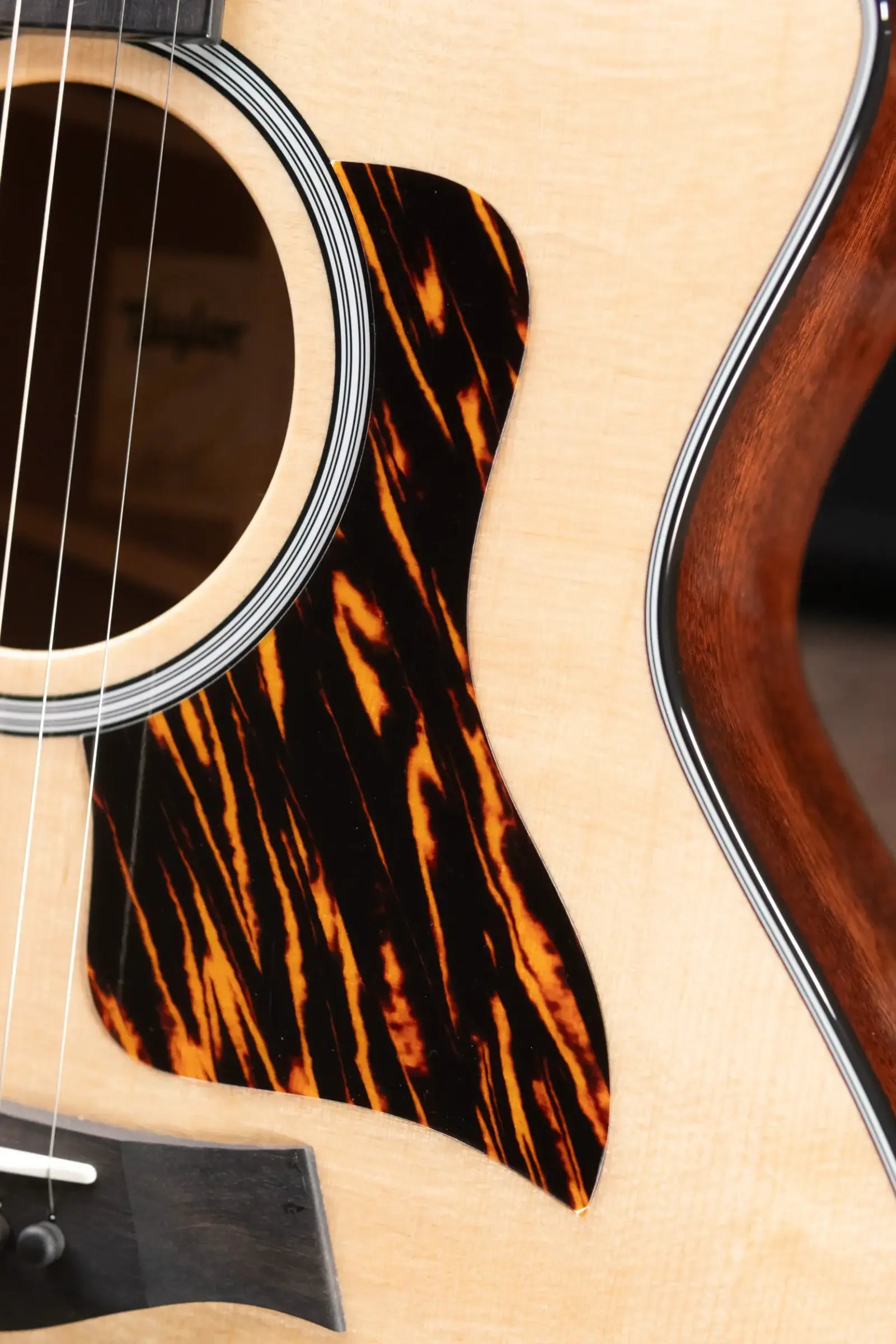 Taylor Next Generation 314ce Grand Auditorium Acoustic/Electric Guitar with Hardshell Case