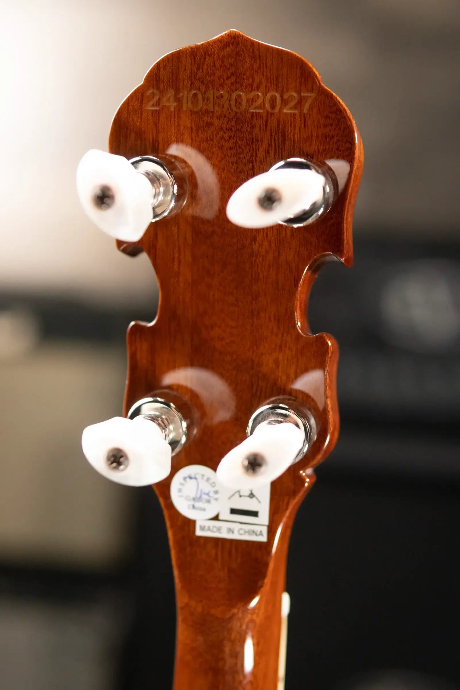 Epiphone Mastertone Classic Banjo - Natural with Hardshell Case
