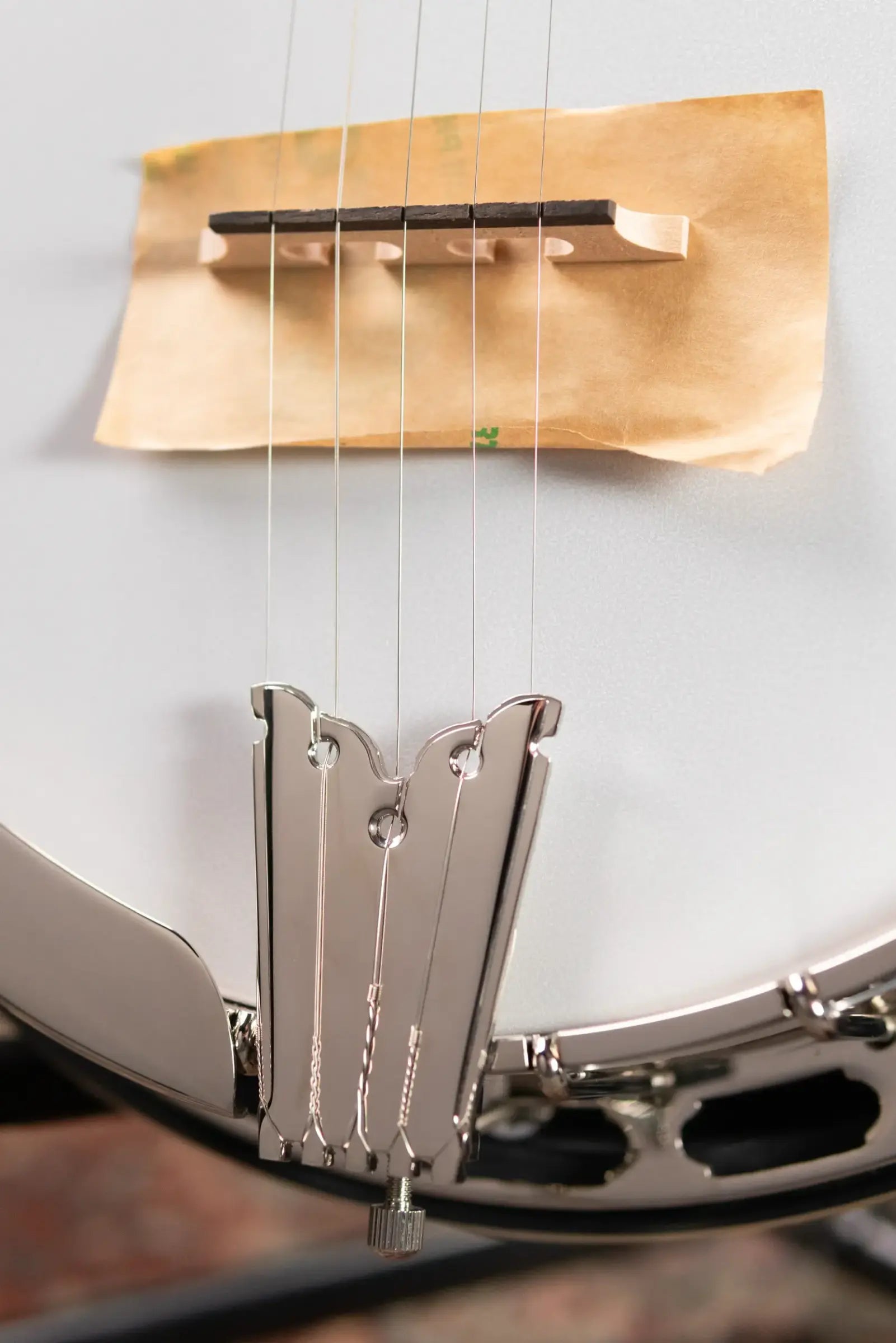 Epiphone Mastertone Classic Banjo - Natural with Hardshell Case