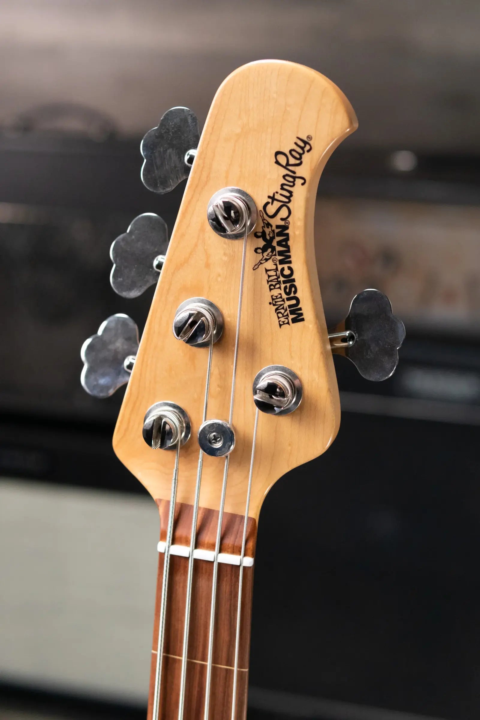 Ernie Ball Music Man StingRay 4 H Fretless Bass Translucent Teal - Used