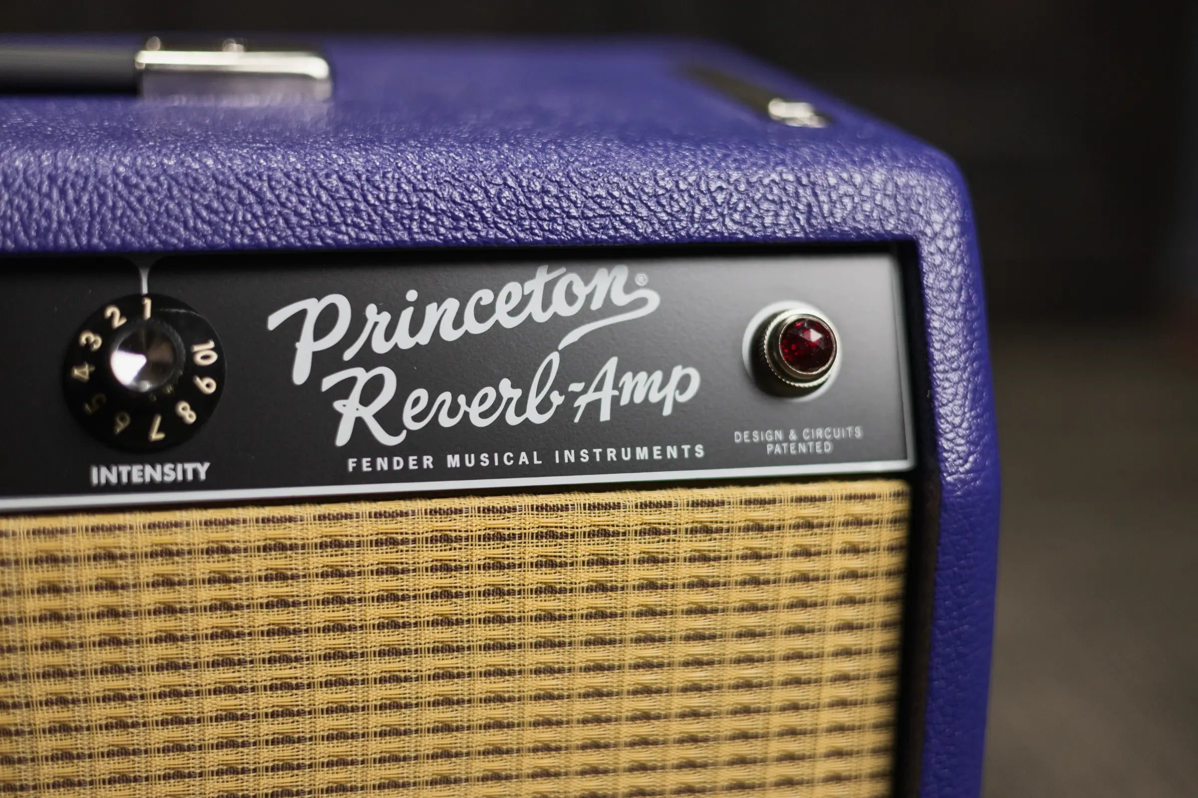 Fender '65 Princeton Reverb - Plum Greenback 120V