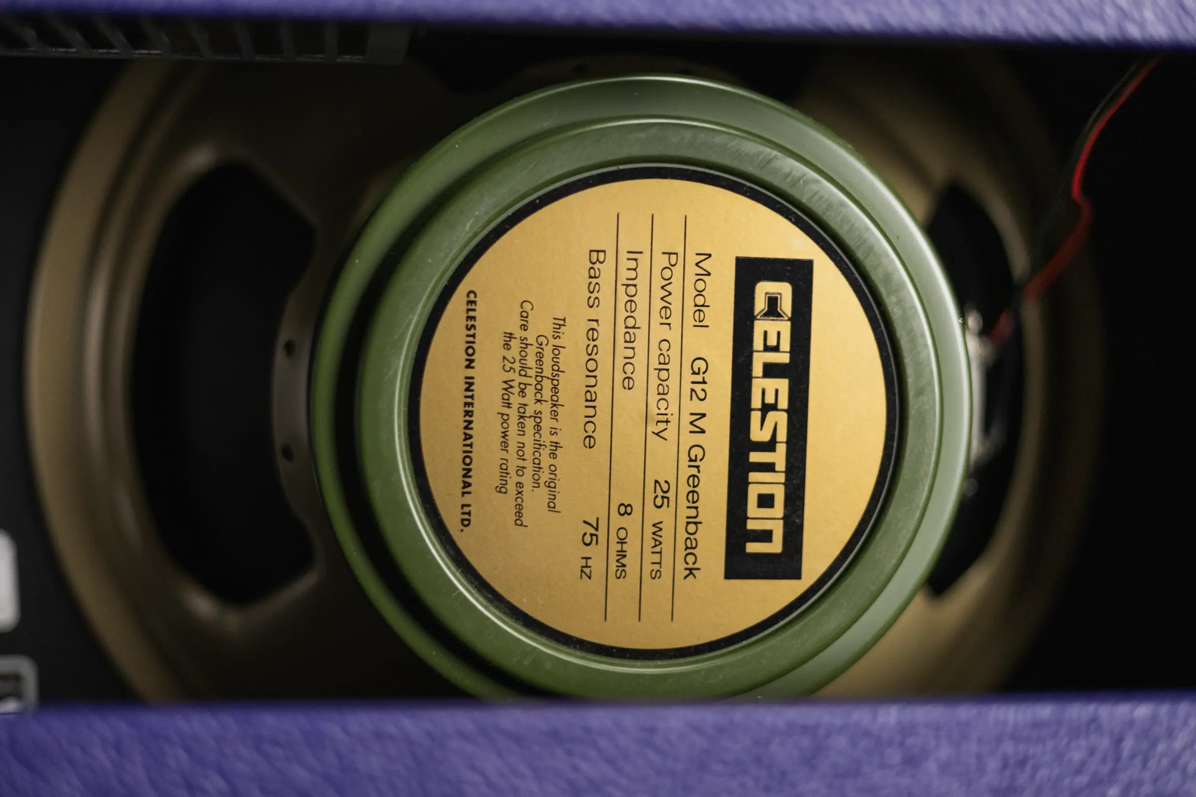 Fender '65 Princeton Reverb - Plum Greenback 120V
