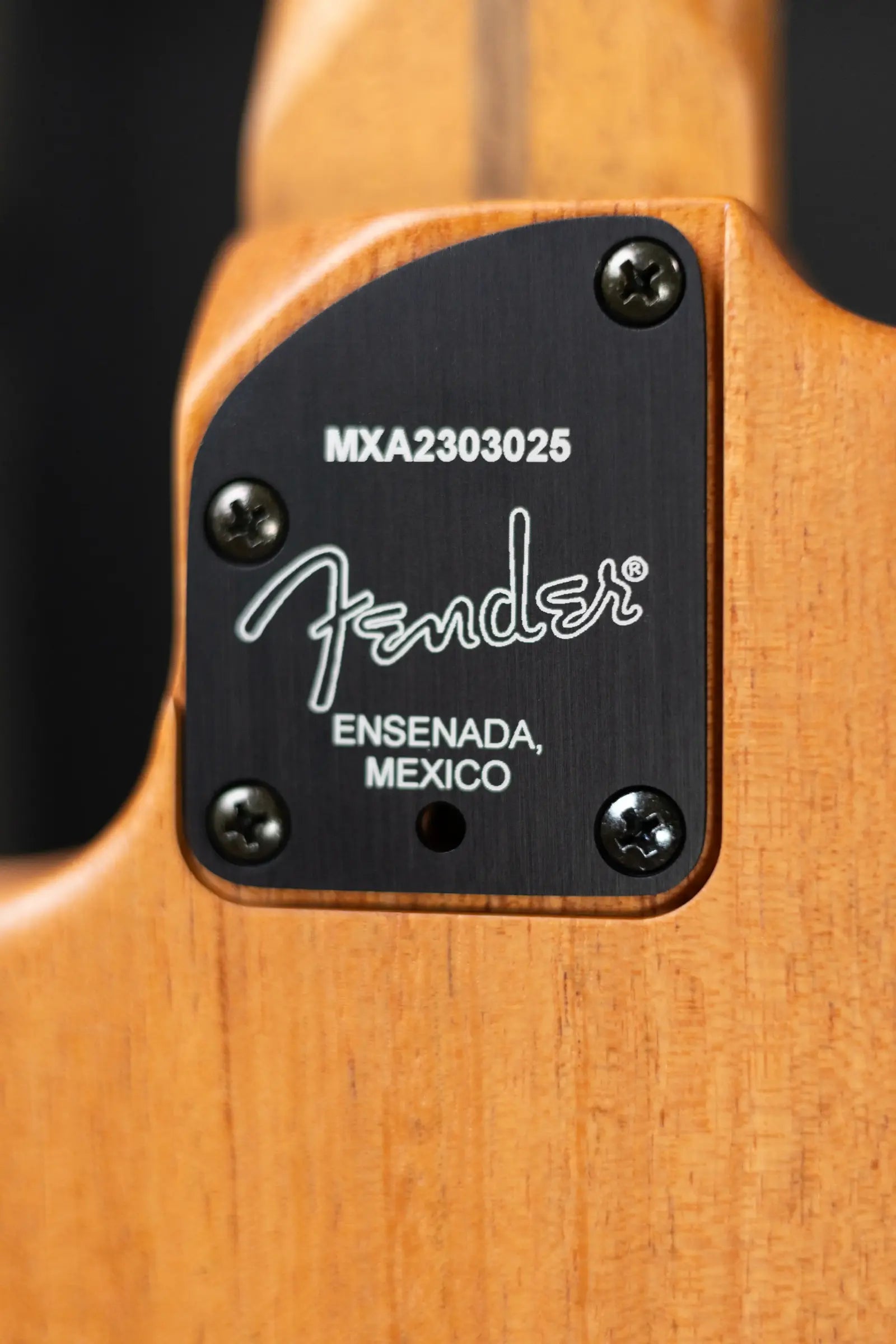 Fender Acoustasonic Player Jazzmaster, Rosewood Fingerboard - Ice Blue with Deluxe Gig Bag