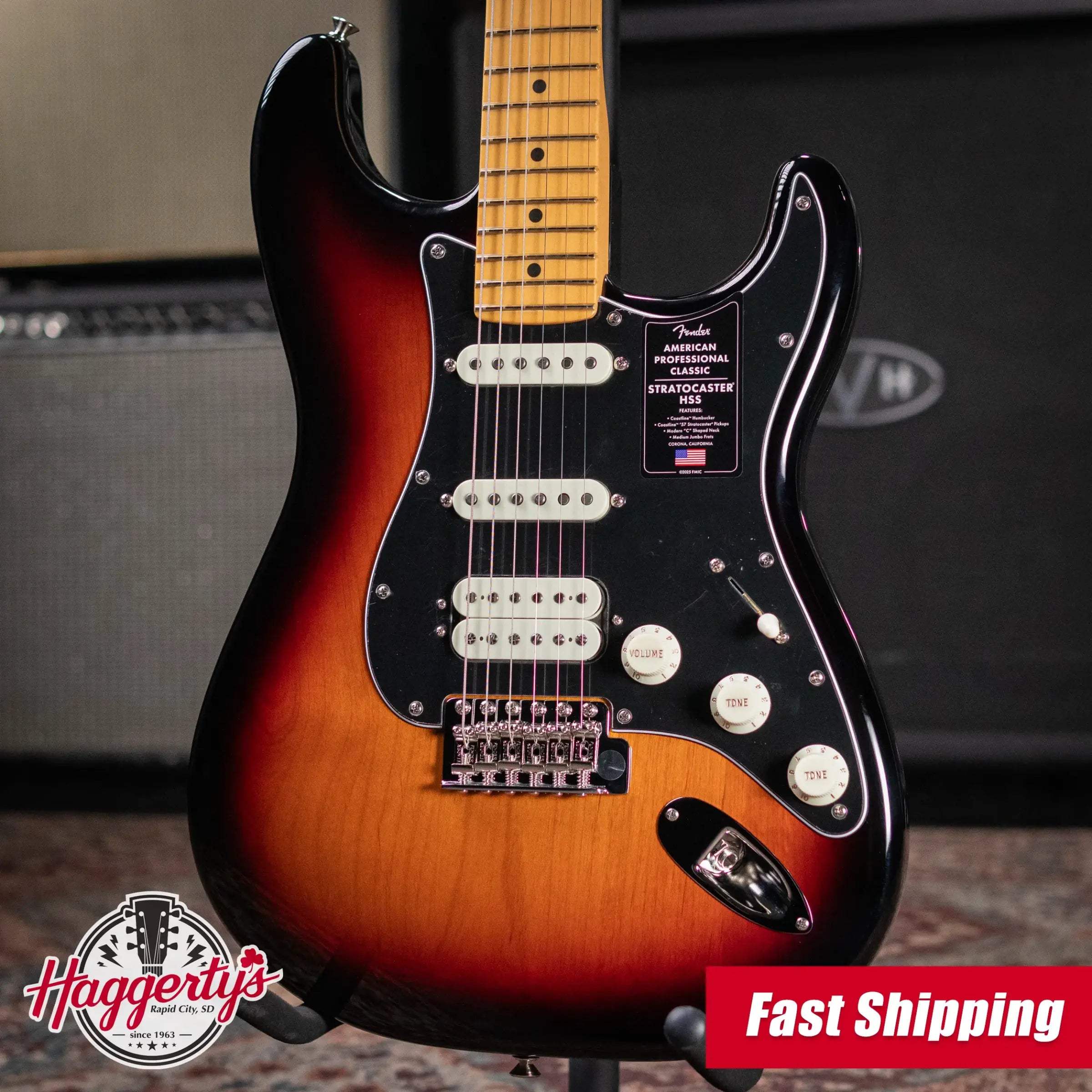 Fender American Professional Classic Stratocaster HSS Electric Guitar - 3-Color Sunburst with Gig Bag