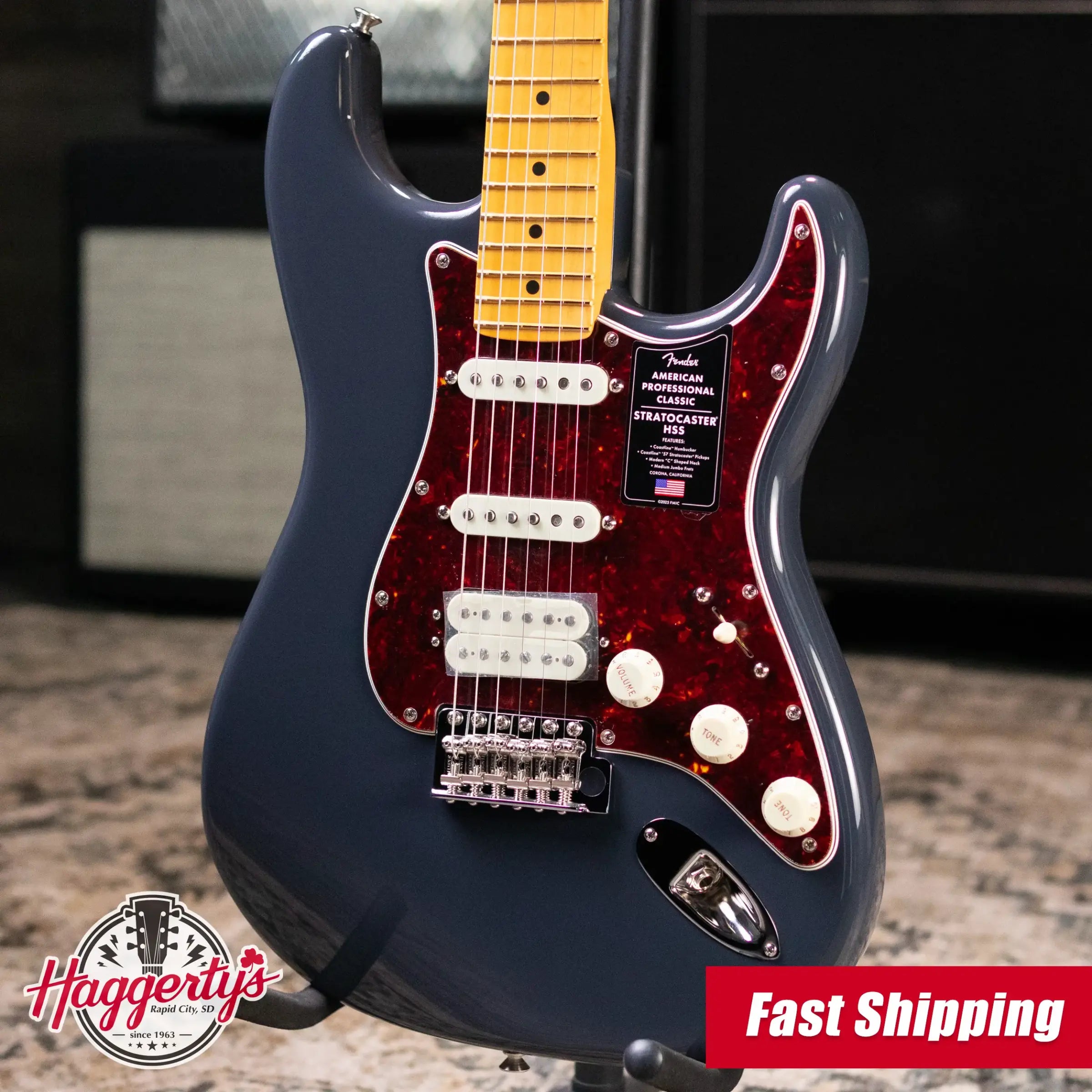 Fender American Professional Classic Stratocaster HSS Electric Guitar - Faded Black with Gig Bag