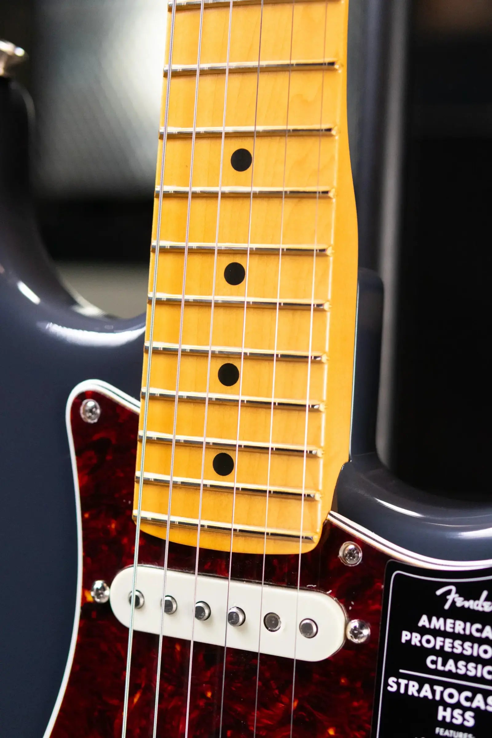 Fender American Professional Classic Stratocaster HSS Electric Guitar - Faded Black with Gig Bag