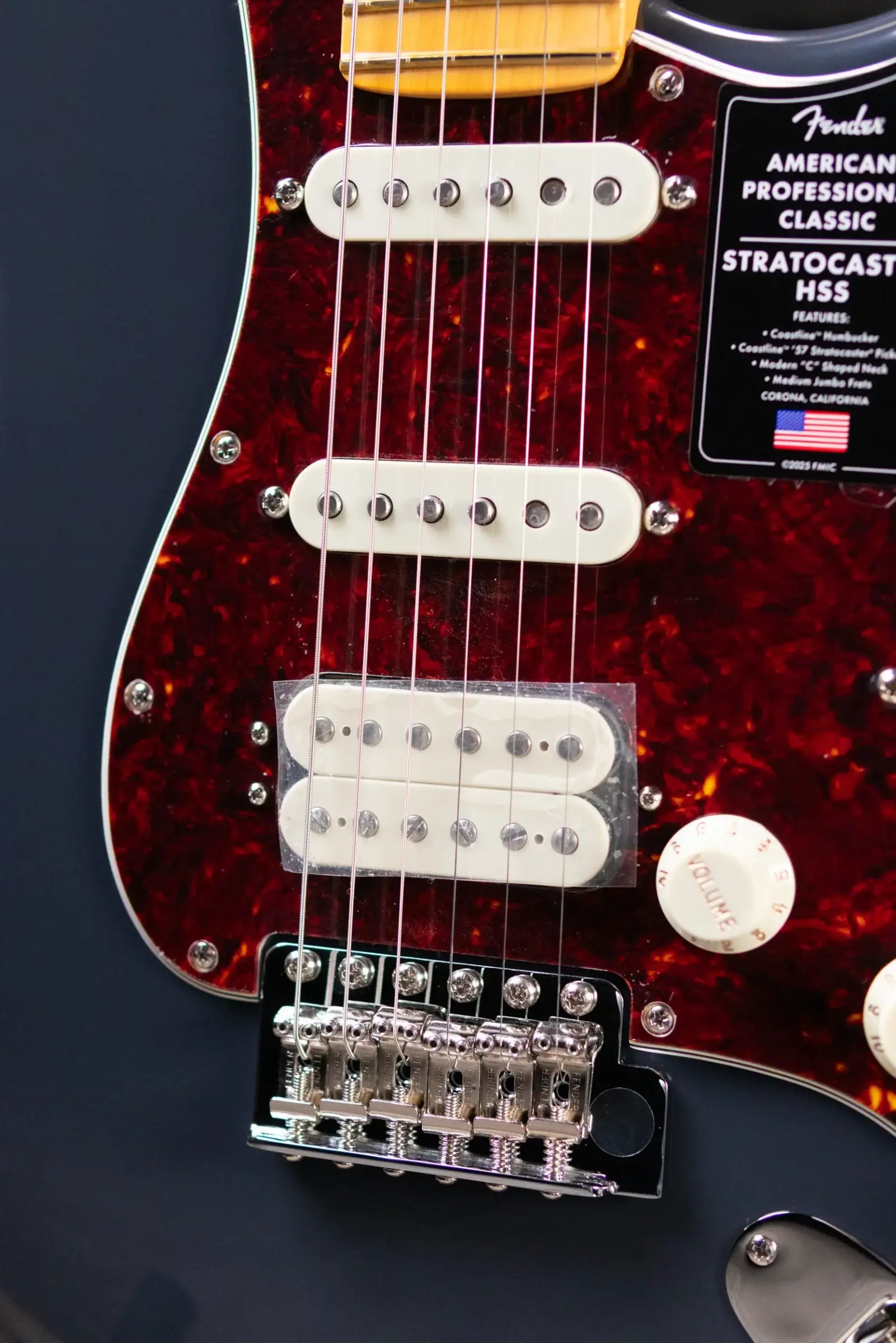 Fender American Professional Classic Stratocaster HSS Electric Guitar - Faded Black with Gig Bag