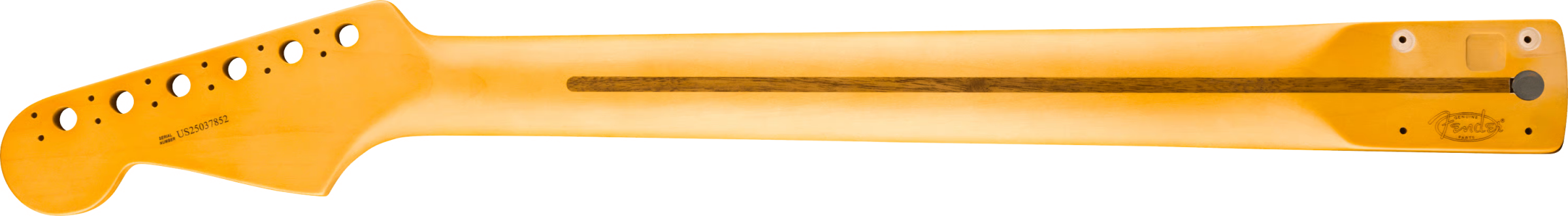 Fender American Professional Classic Stratocaster® Neck, 22 Medium Jumbo Frets, 9.5" Radius