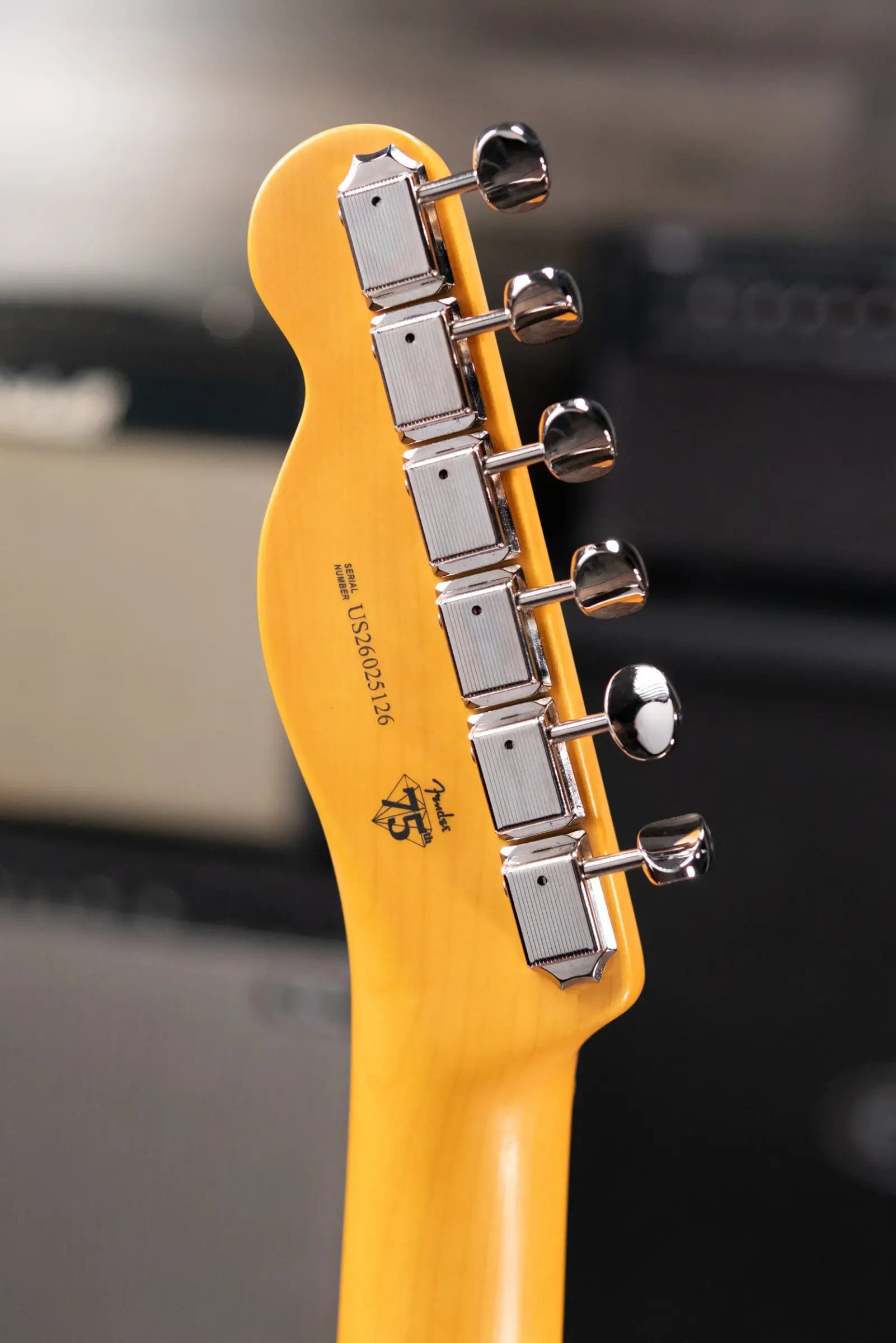 Fender American Professional Classic Telecaster Electric Guitar - Faded Lake Placid Blue with Gig Bag