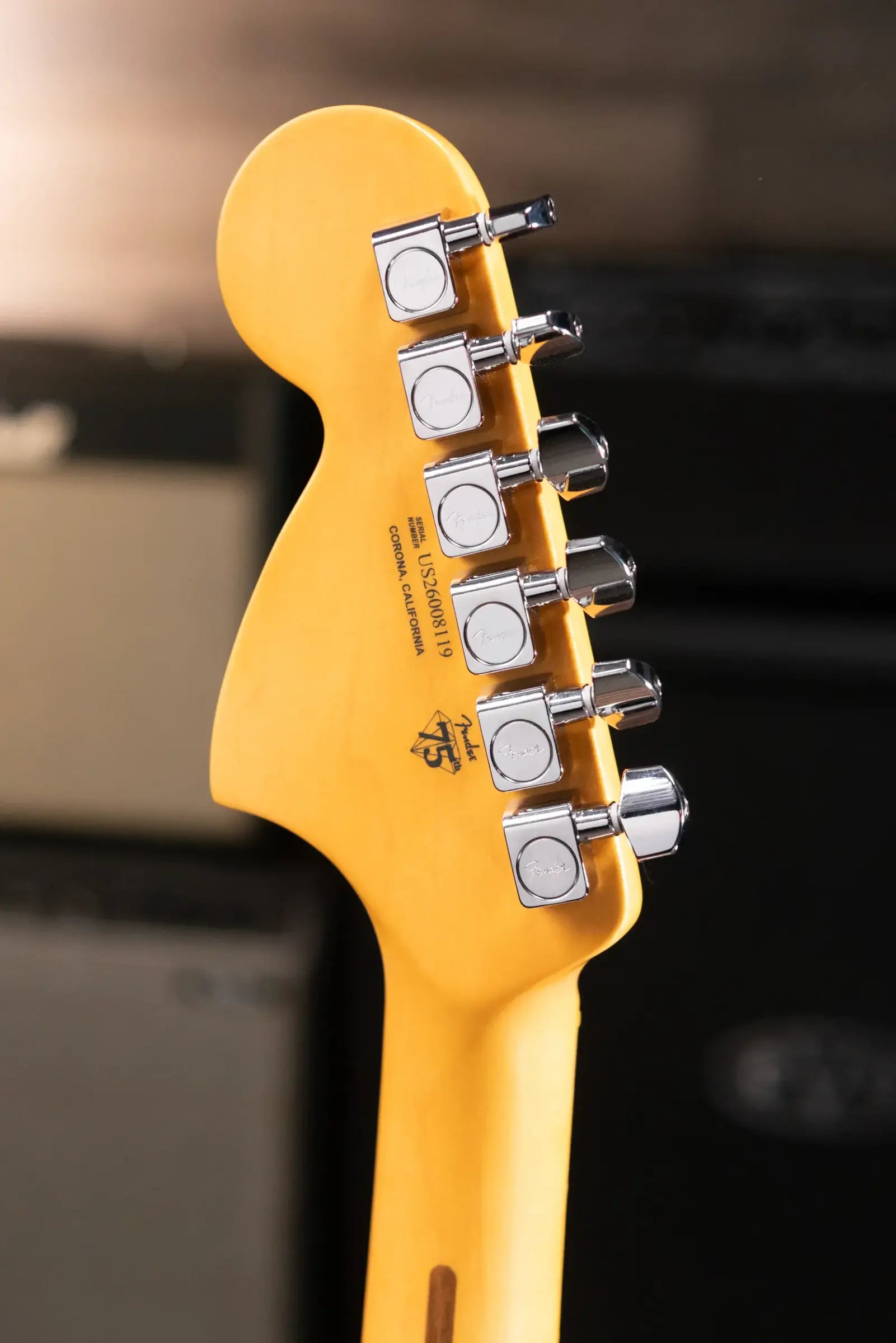 Fender American Professional II Telecaster Deluxe Electric Guitar - Olympic White with Hardshell Case