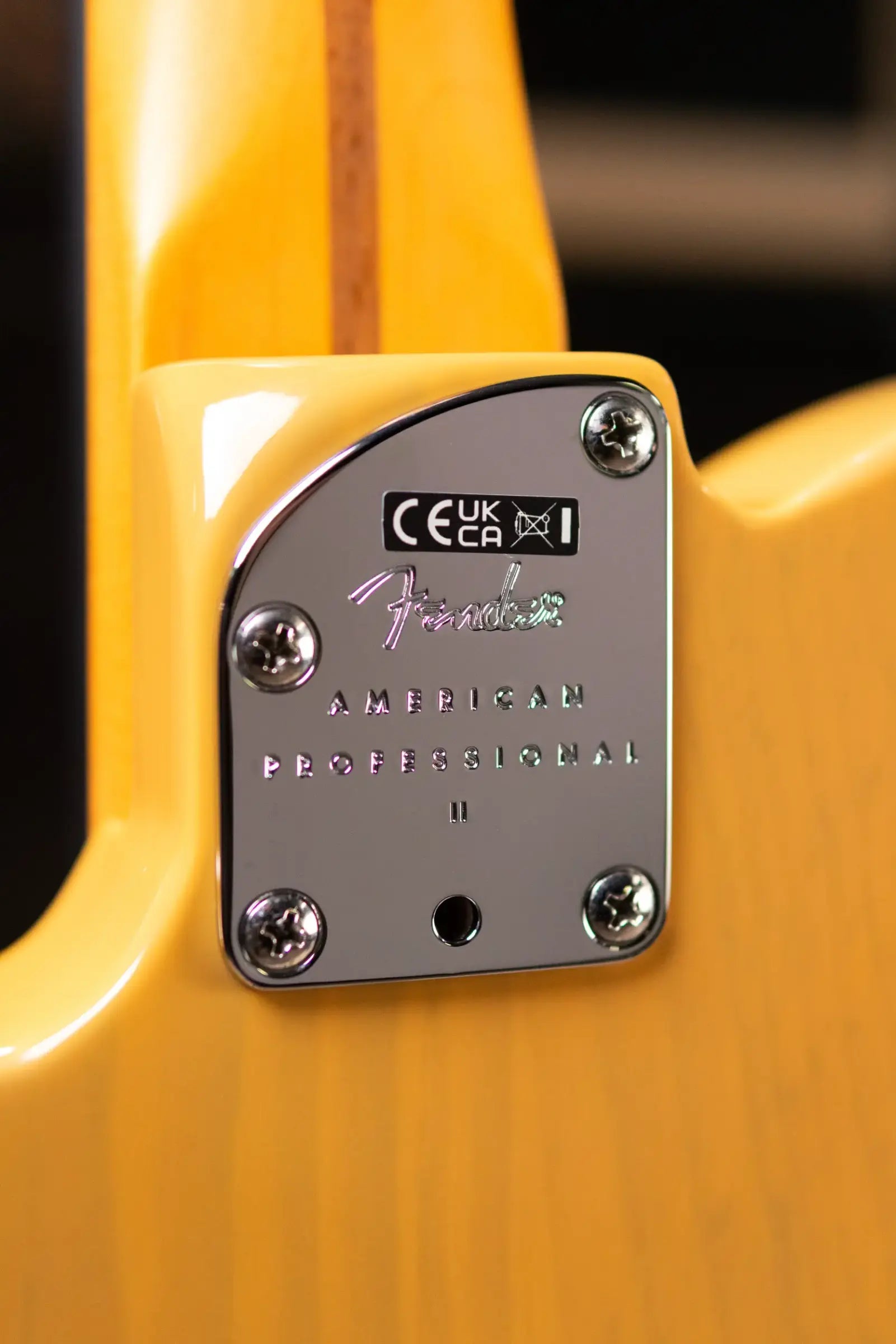 Fender American Professional II Telecaster Electric Guitar - Butterscotch Blonde with Hardshell Case