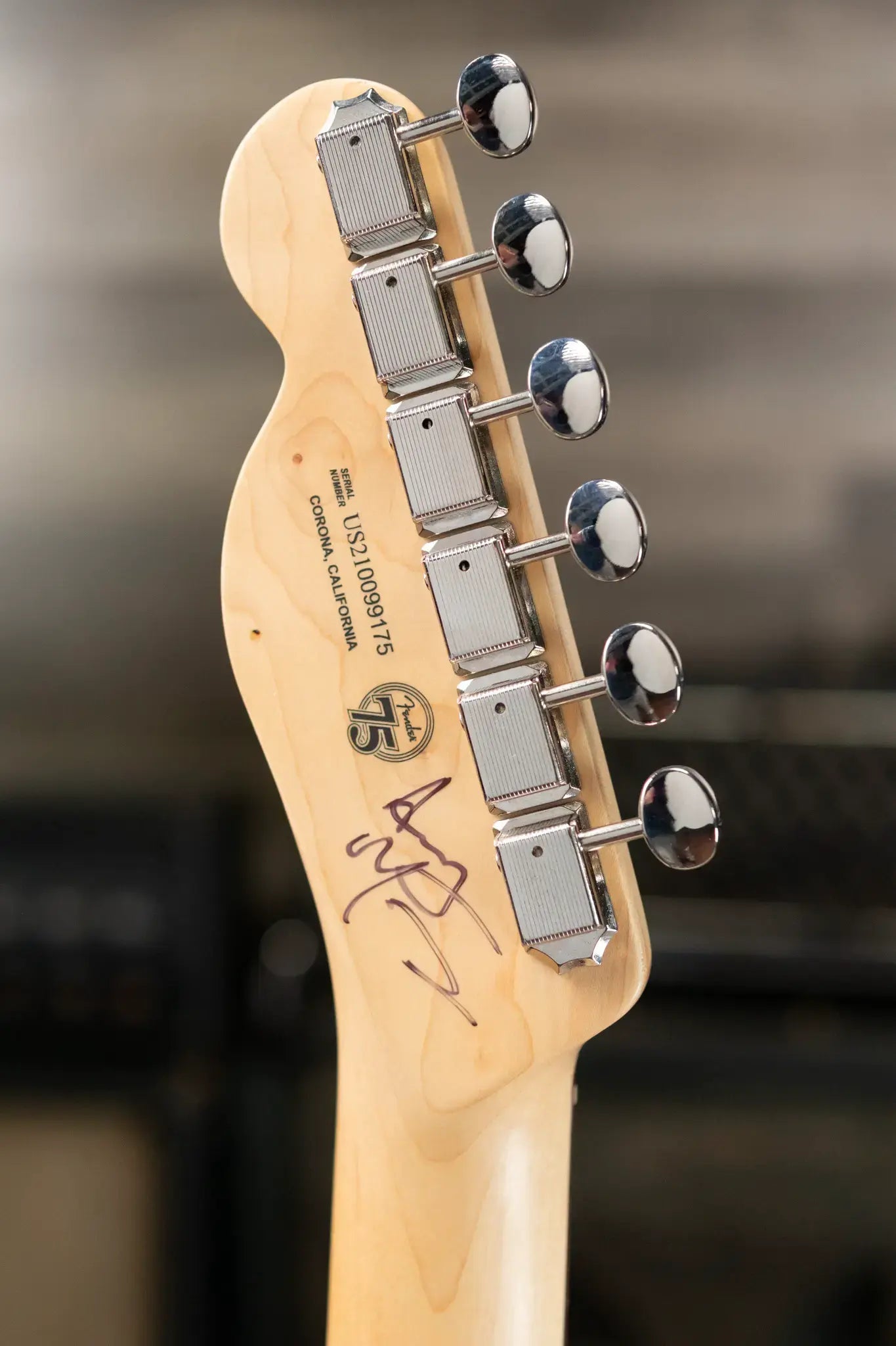 Fender Custom Shop "Imagine" World Stamp Collection Telecaster - Gabonese Republic with Hardshell Case - Floor Model