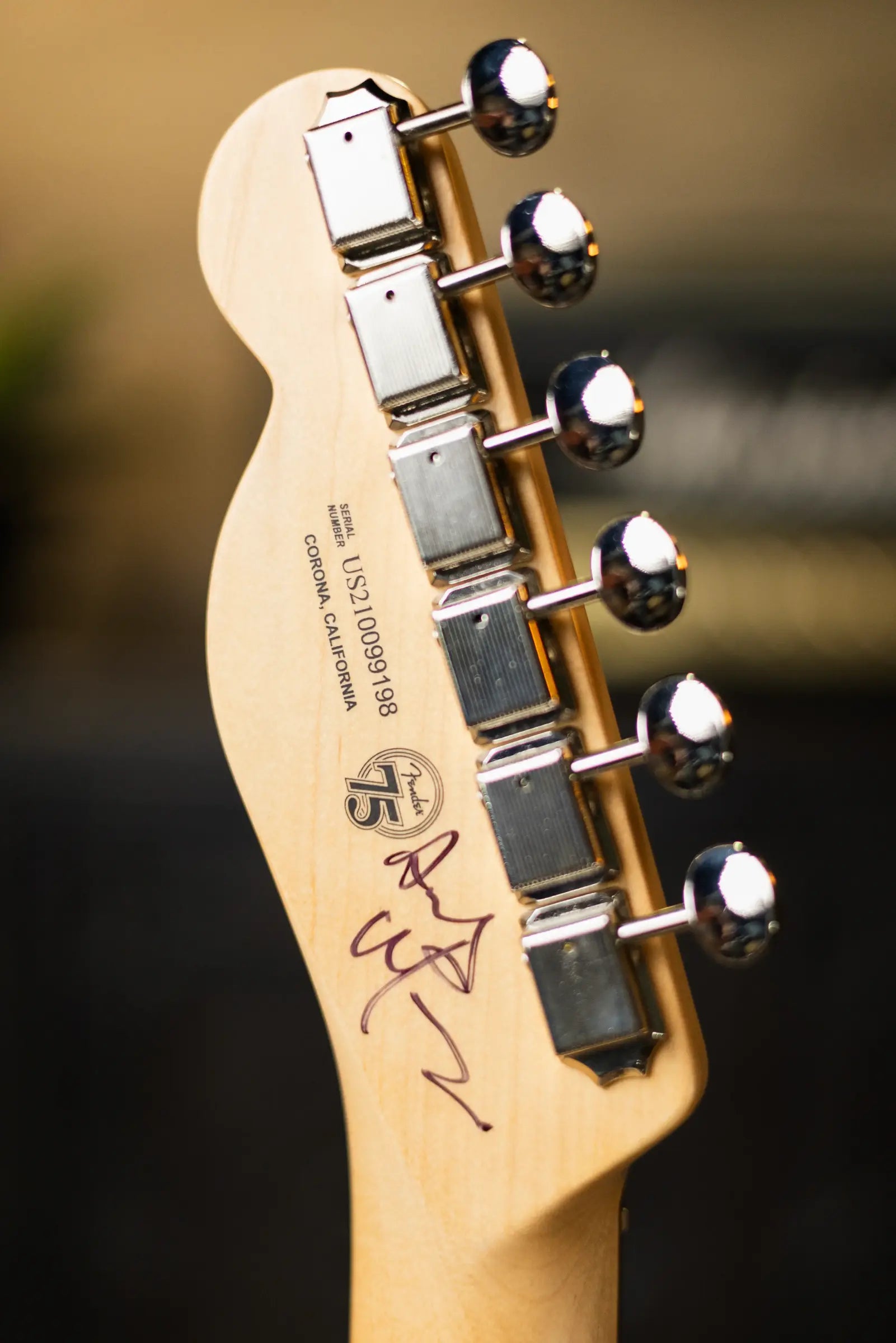 Fender Custom Shop "Imagine" World Stamp Collection Telecaster, Kyrgyz Republic w/ Hardshell Case