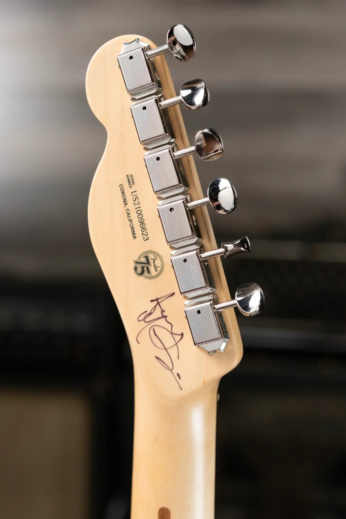 Fender Custom Shop "Imagine" World Stamp Collection Telecaster, Sudan w/ Hardshell Case