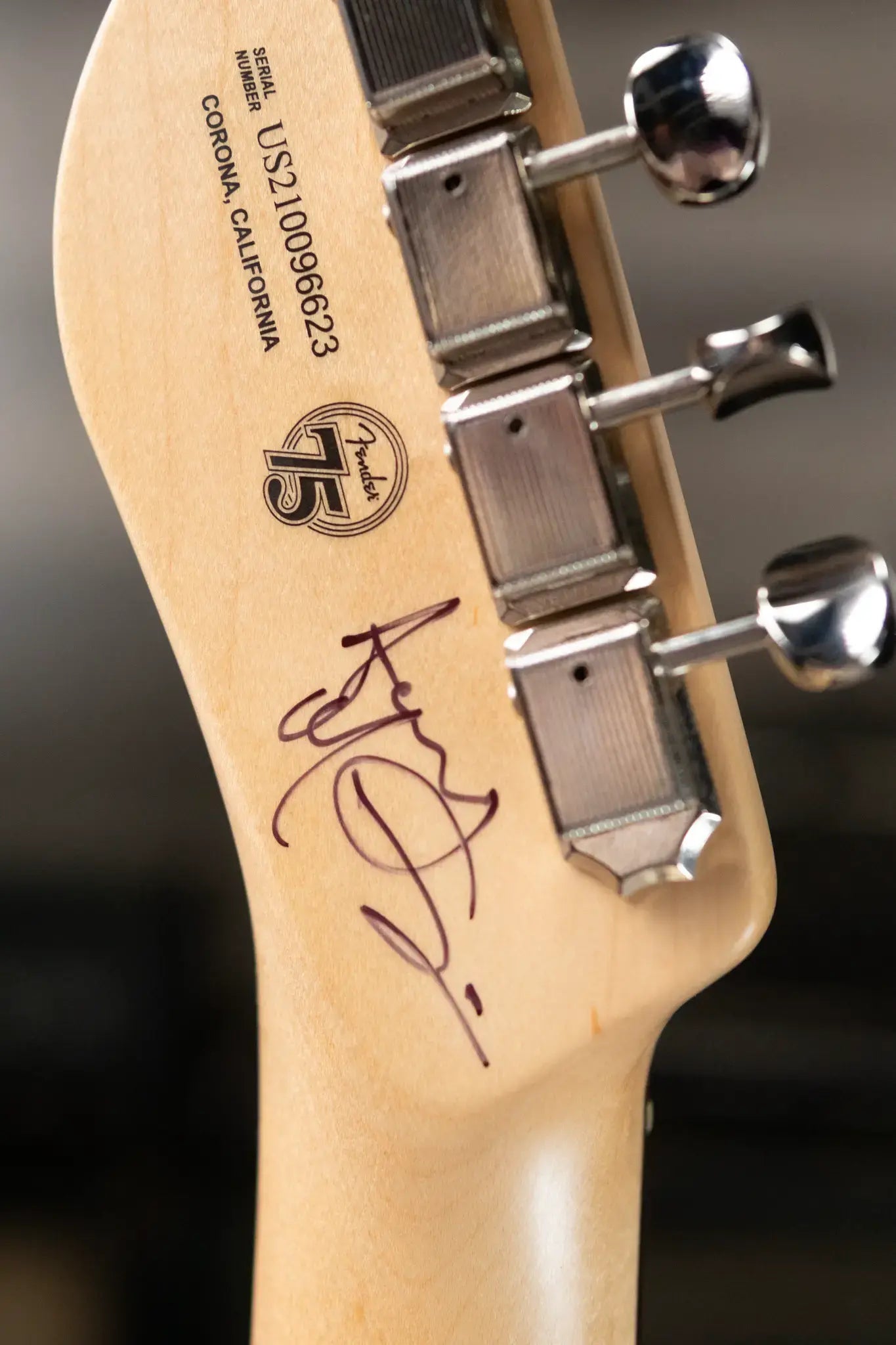 Fender Custom Shop "Imagine" World Stamp Collection Telecaster, Sudan w/ Hardshell Case