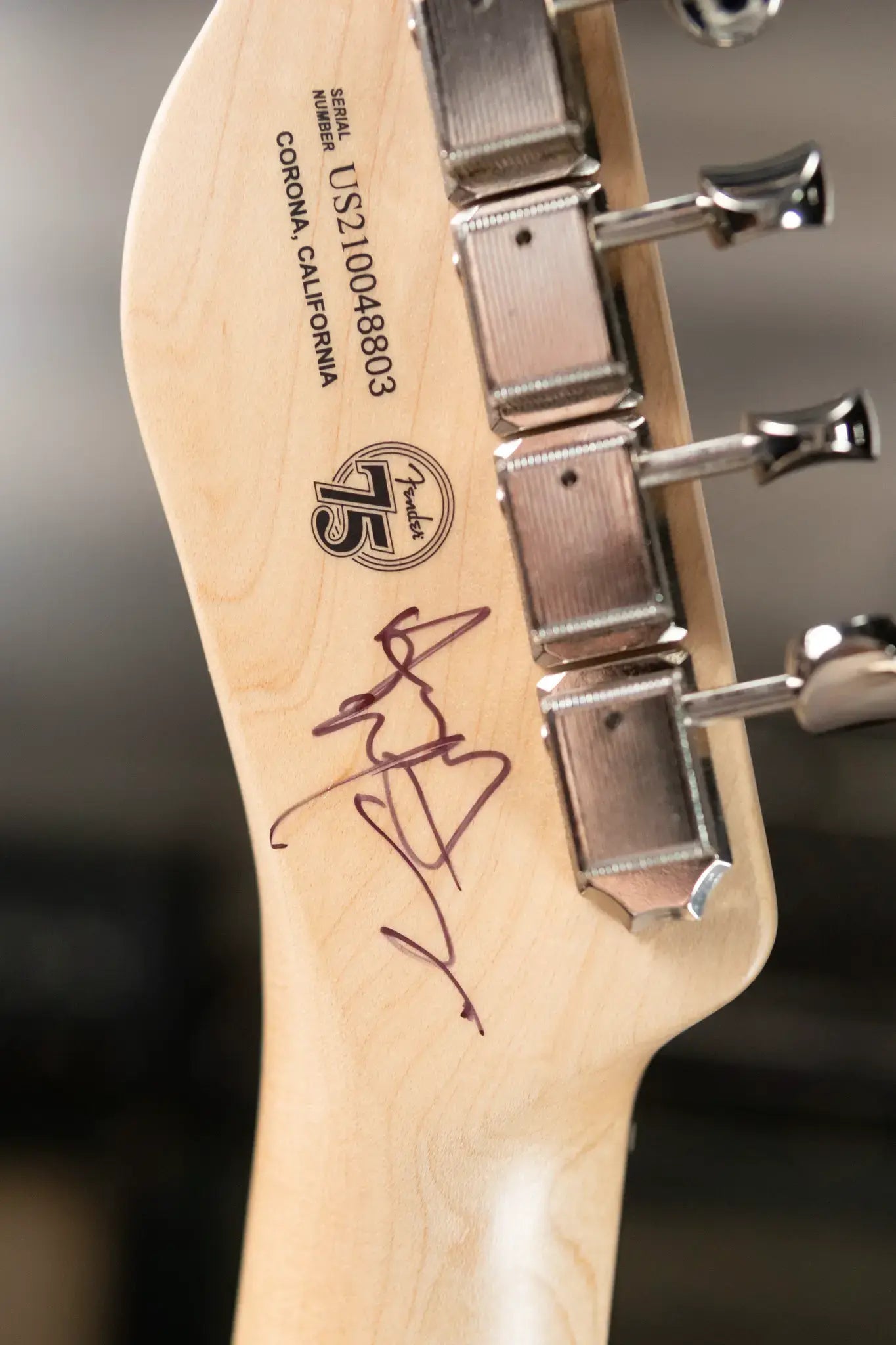 Fender Custom Shop "Imagine" World Stamp Collection Telecaster - Union of the Comoros with Hardshell Case - Floor Model