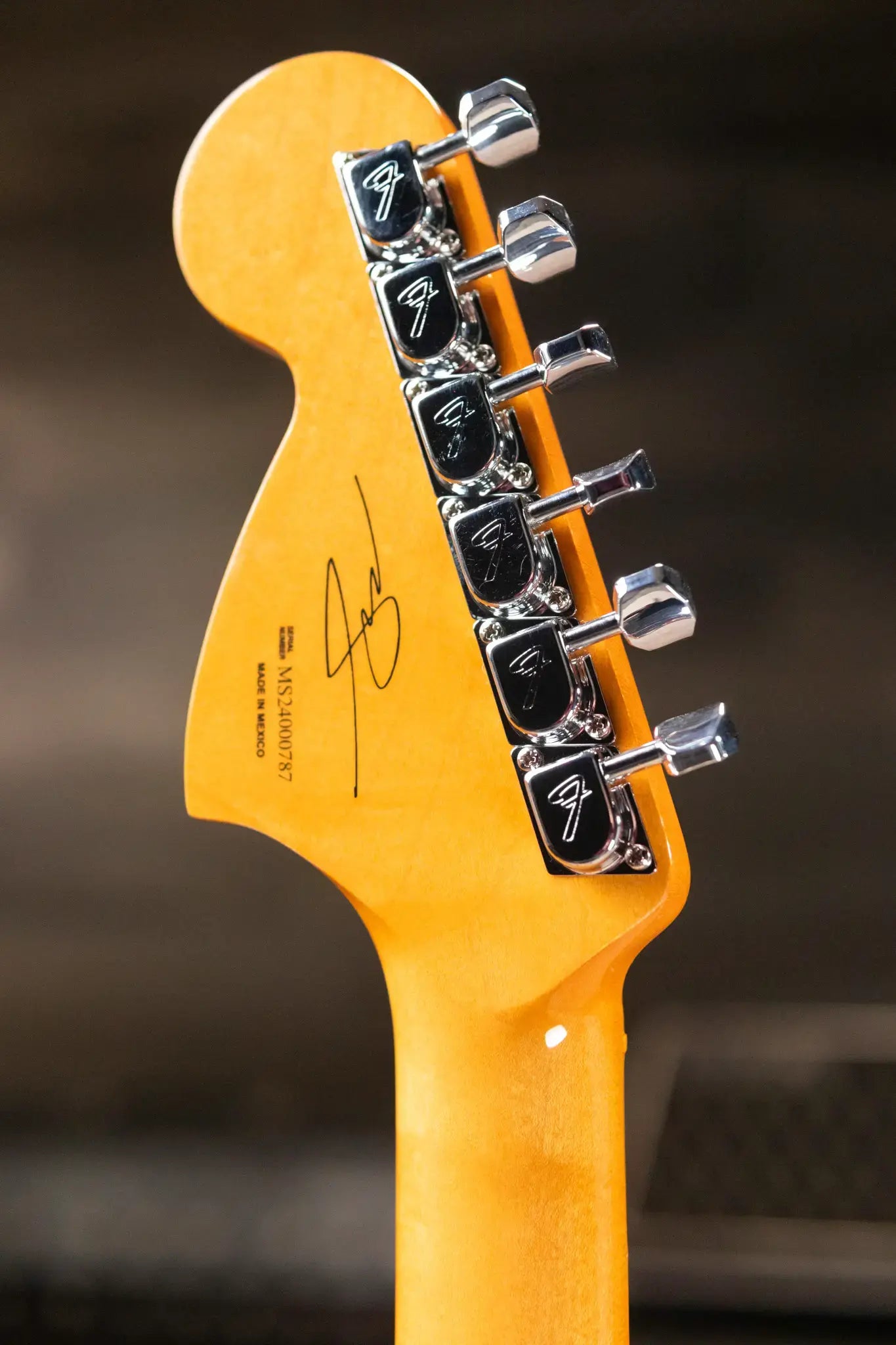 Fender Limited Edition Mark Speer Stratocaster Electric Guitar - Natural with Gig Bag
