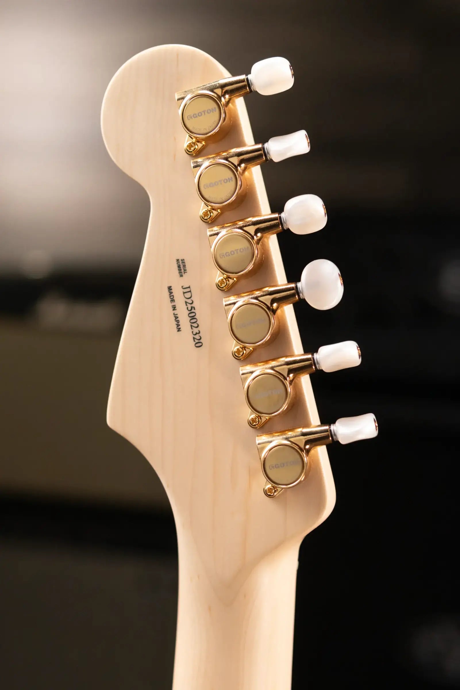 Fender Richie Kotzen Stratocaster, Maple Fingerboard Electric Guitar - Transparent Red Burst with Gig Bag