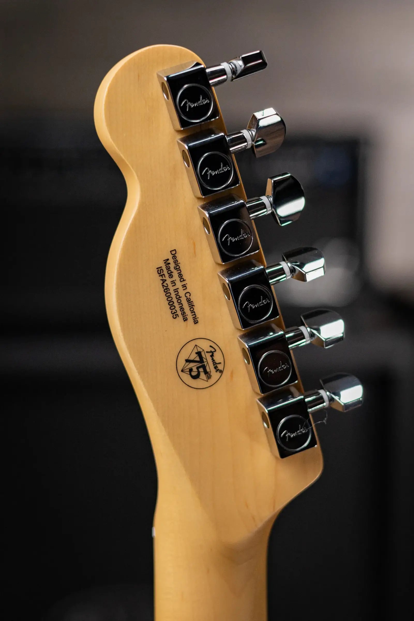 Fender Standard Telecaster Electric Guitar - Butterscotch Blonde