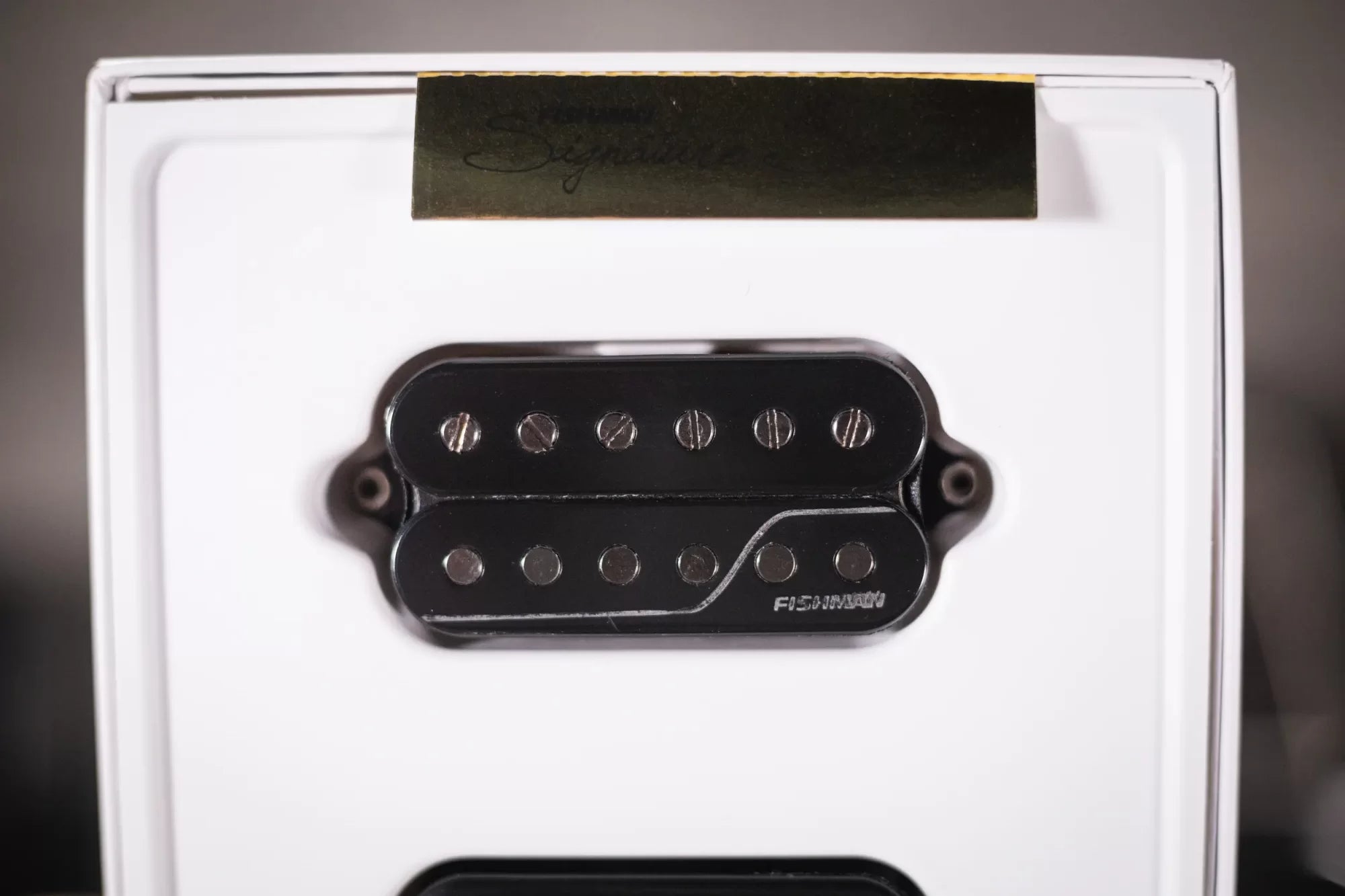 Fishman Fluence Signature Series Javier Reyes 6-String Pickup Set Black