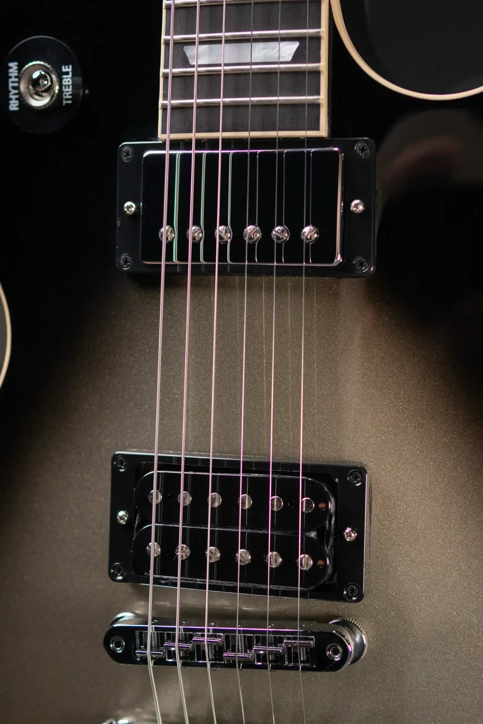 Gibson Adam Jones Signature Les Paul Standard Electric Guitar - Silverburst with Hardshell Case