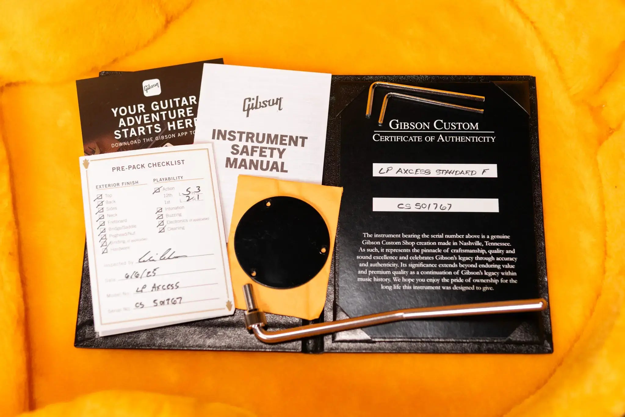 Gibson Custom Shop Les Paul Axcess Standard Electric Guitar - Siberian Tiger Gloss with Hardshell Case