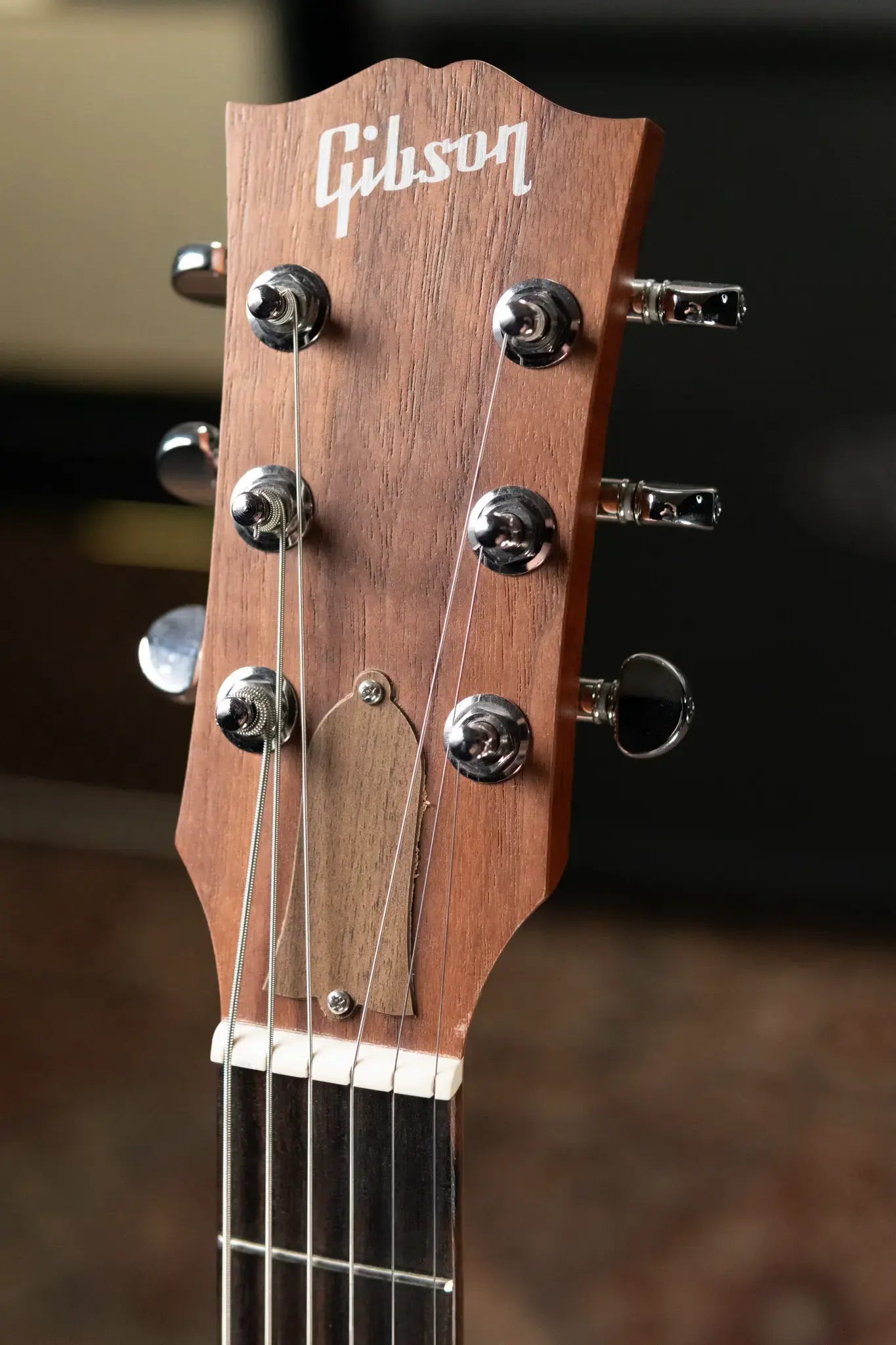 Gibson G-Writer EC Generation Collection with Gig Bag
