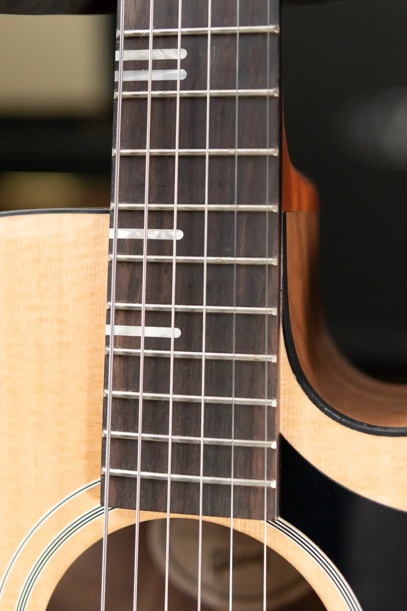 Gibson G-Writer EC Generation Collection with Gig Bag