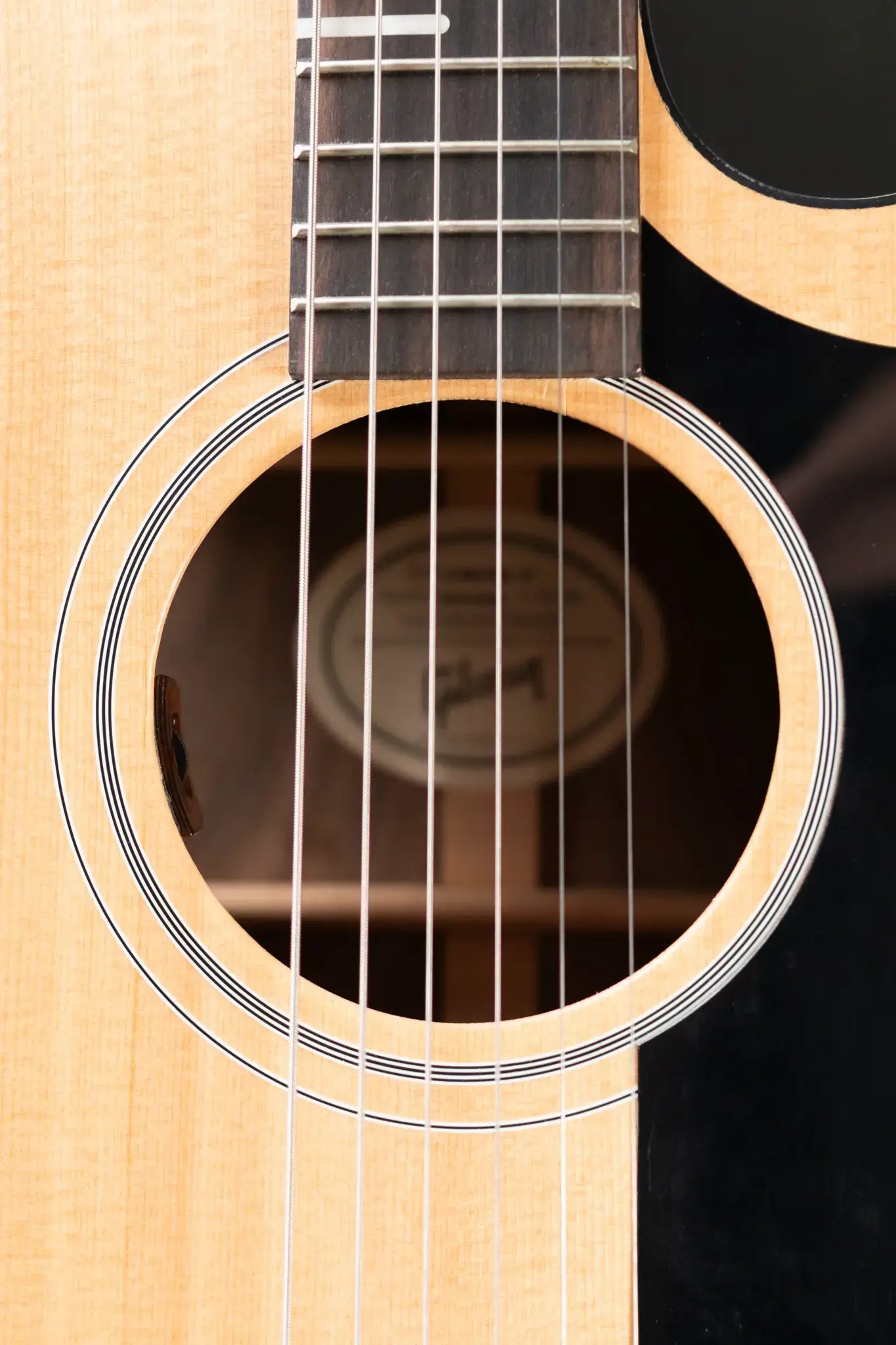 Gibson G-Writer EC Generation Collection with Gig Bag