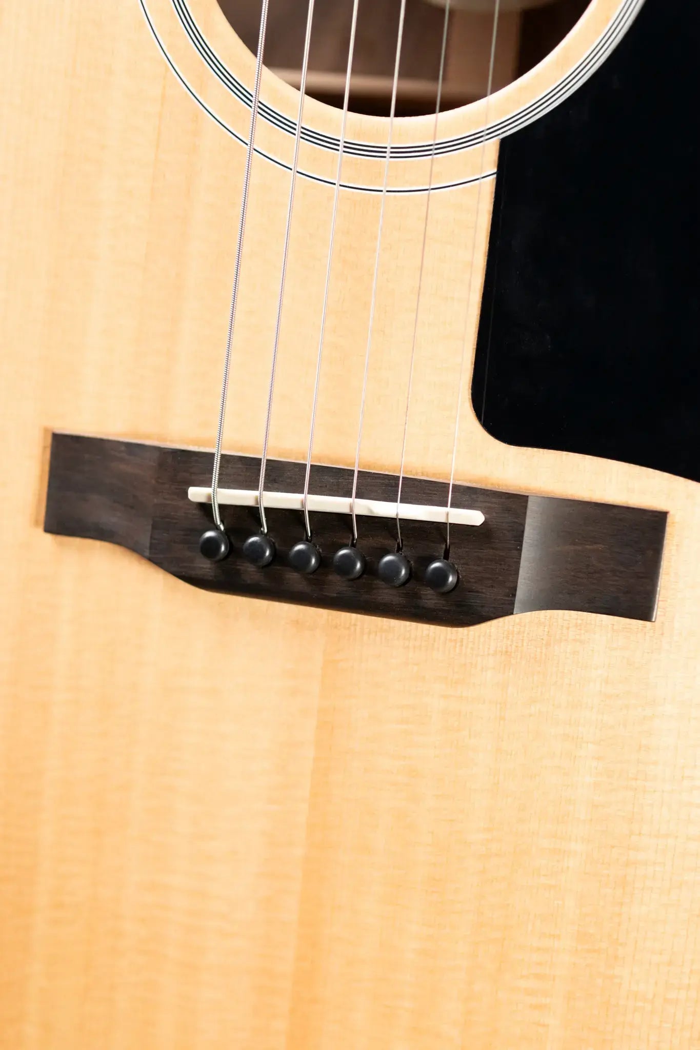 Gibson G-Writer EC Generation Collection with Gig Bag