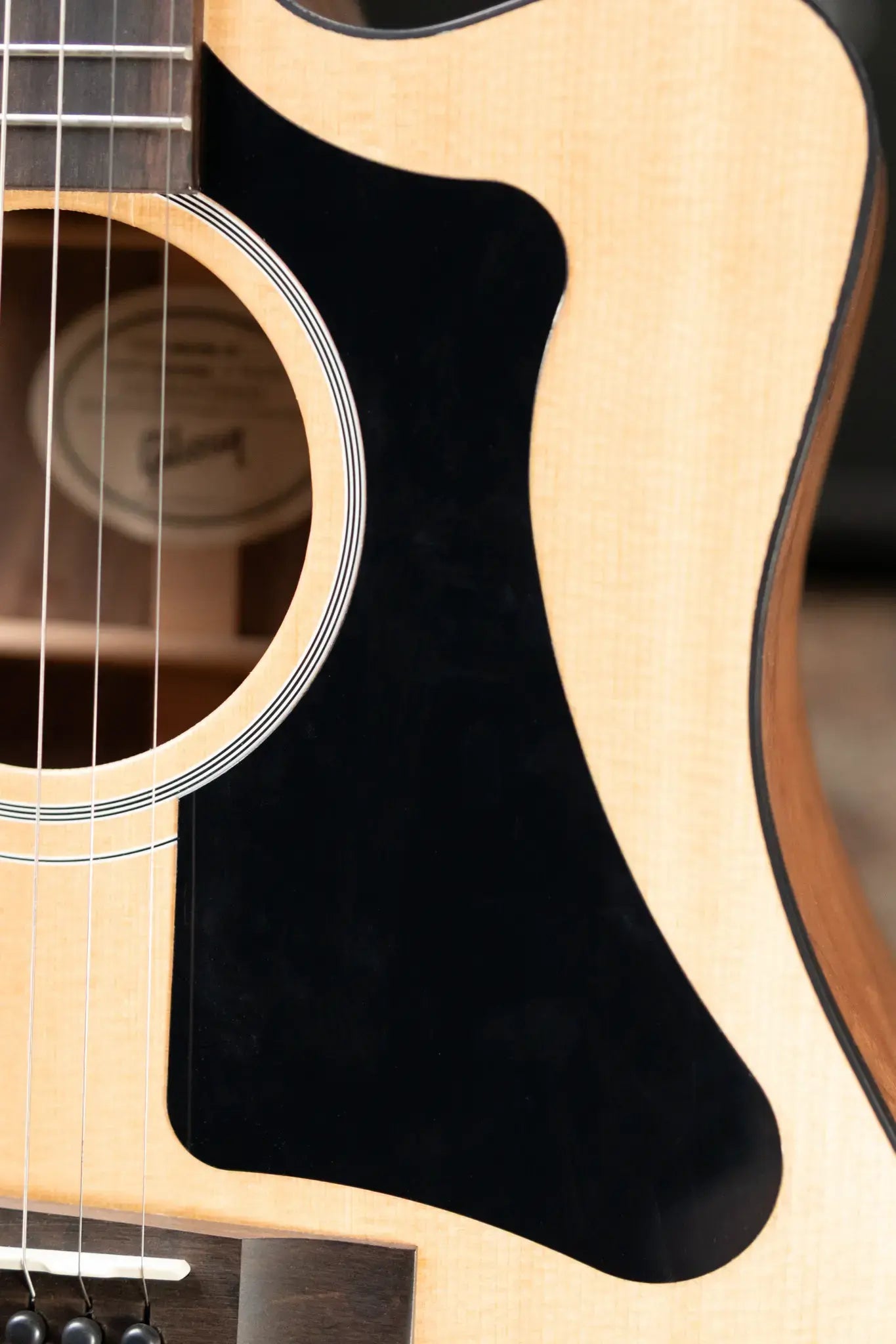 Gibson G-Writer EC Generation Collection with Gig Bag